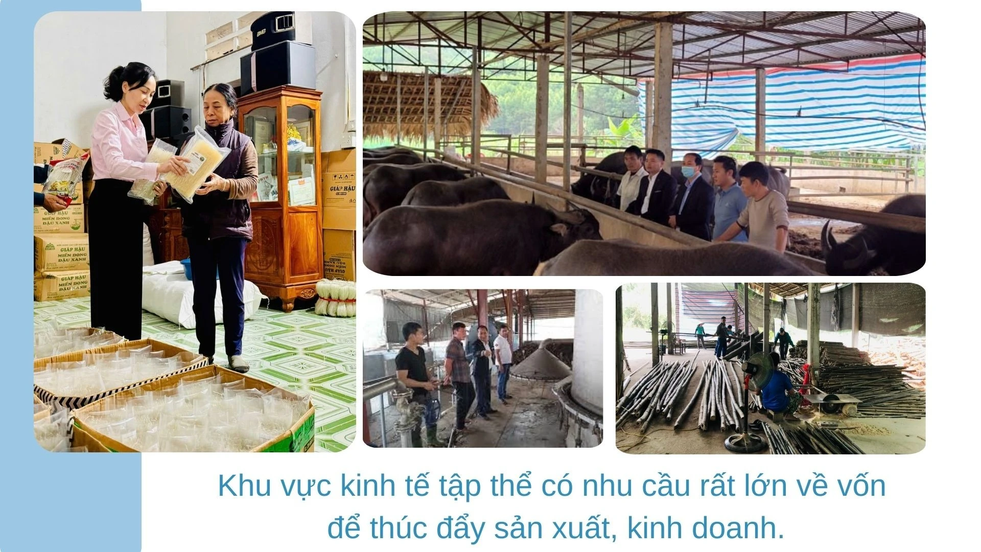 green-modern-hydroponic-farming-innovations-presentation-2026-03-18t224534771.jpg