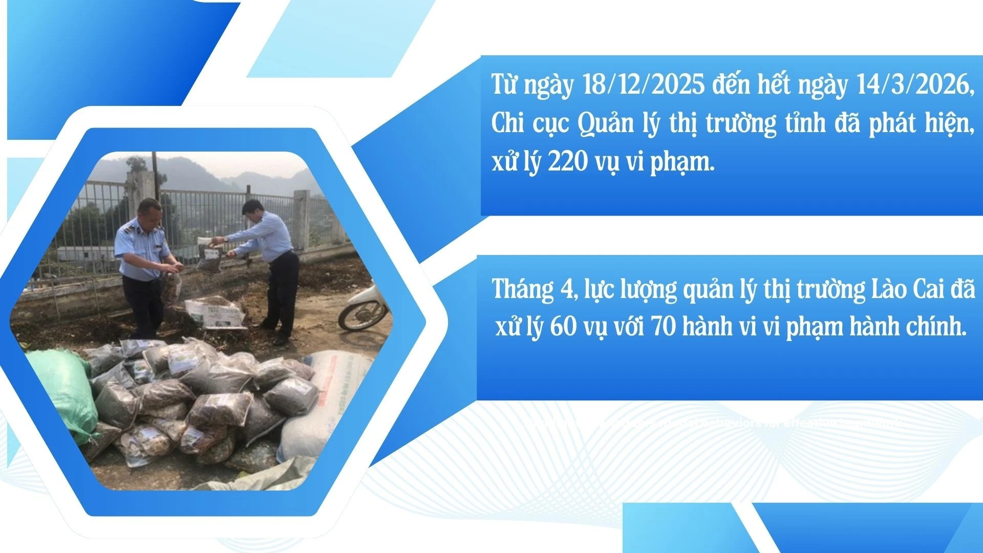 green-modern-hydroponic-farming-innovations-presentation-17.jpg