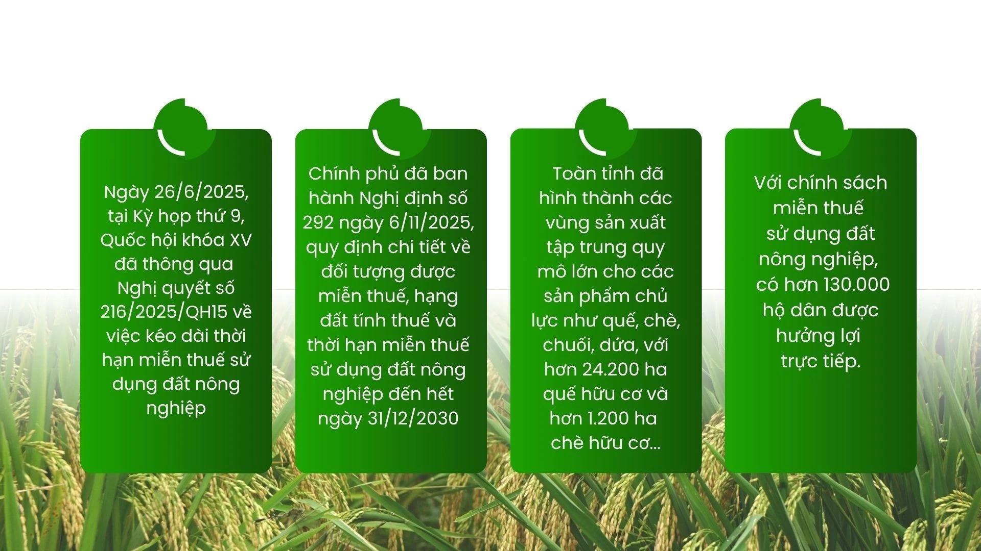 green-modern-hydroponic-farming-innovations-presentation-21.jpg