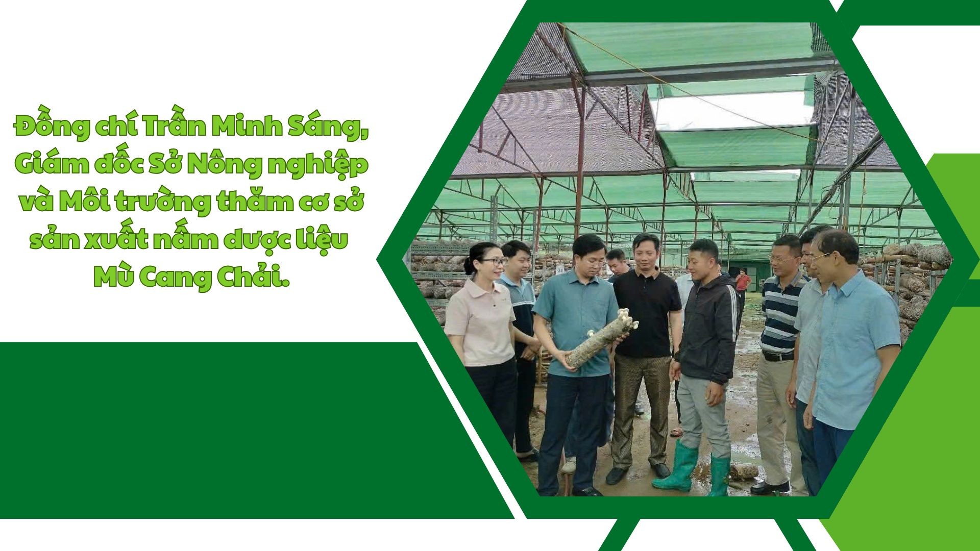 green-modern-hydroponic-farming-innovations-presentation-24.jpg