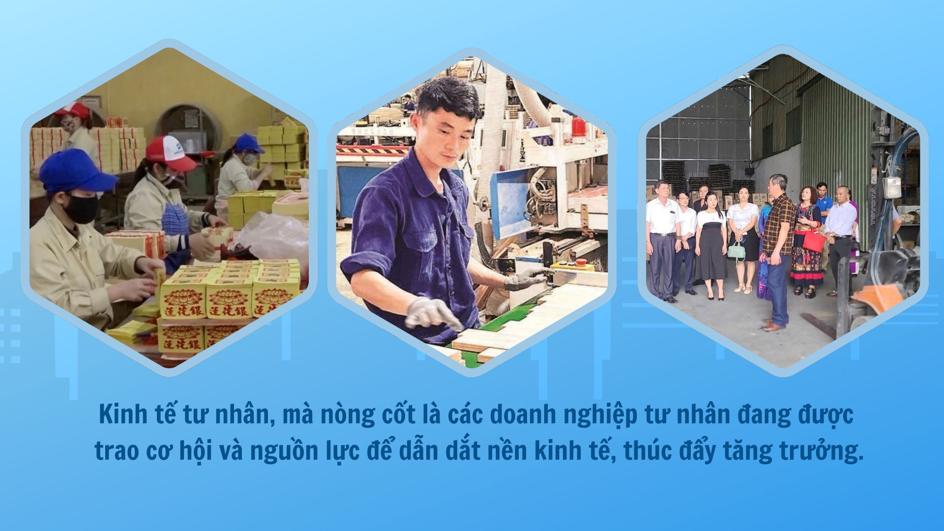 green-modern-hydroponic-farming-innovations-presentation-70.jpg