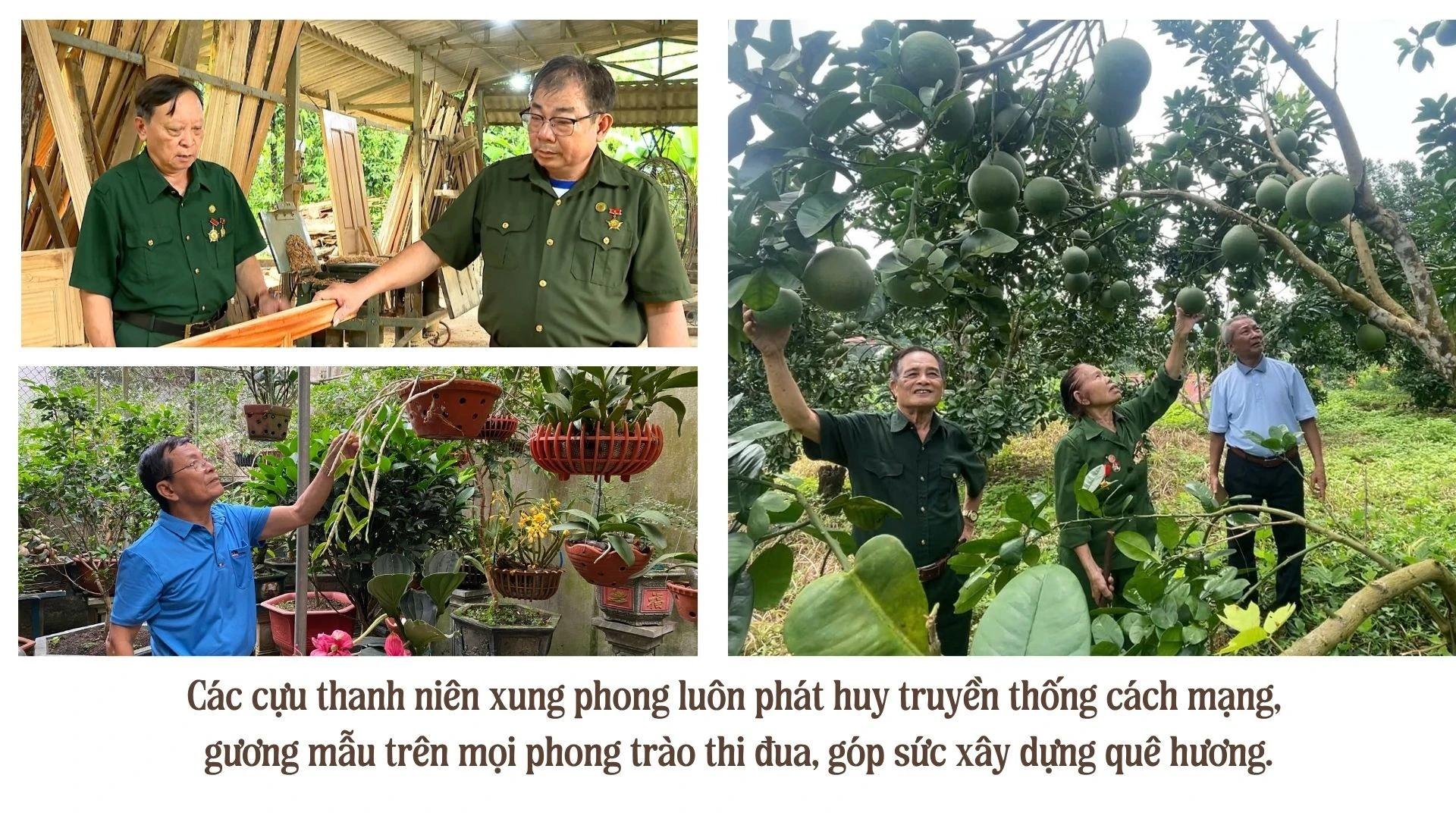 green-modern-hydroponic-farming-innovations-presentation-51.jpg