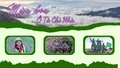 Mùa hoa ở Tà Chì Nhù