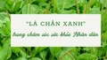 "Lá chắn xanh" trong chăm sóc sức khỏe Nhân dân