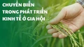 Chuyển biến trong phát triển kinh tế ở Gia Hội