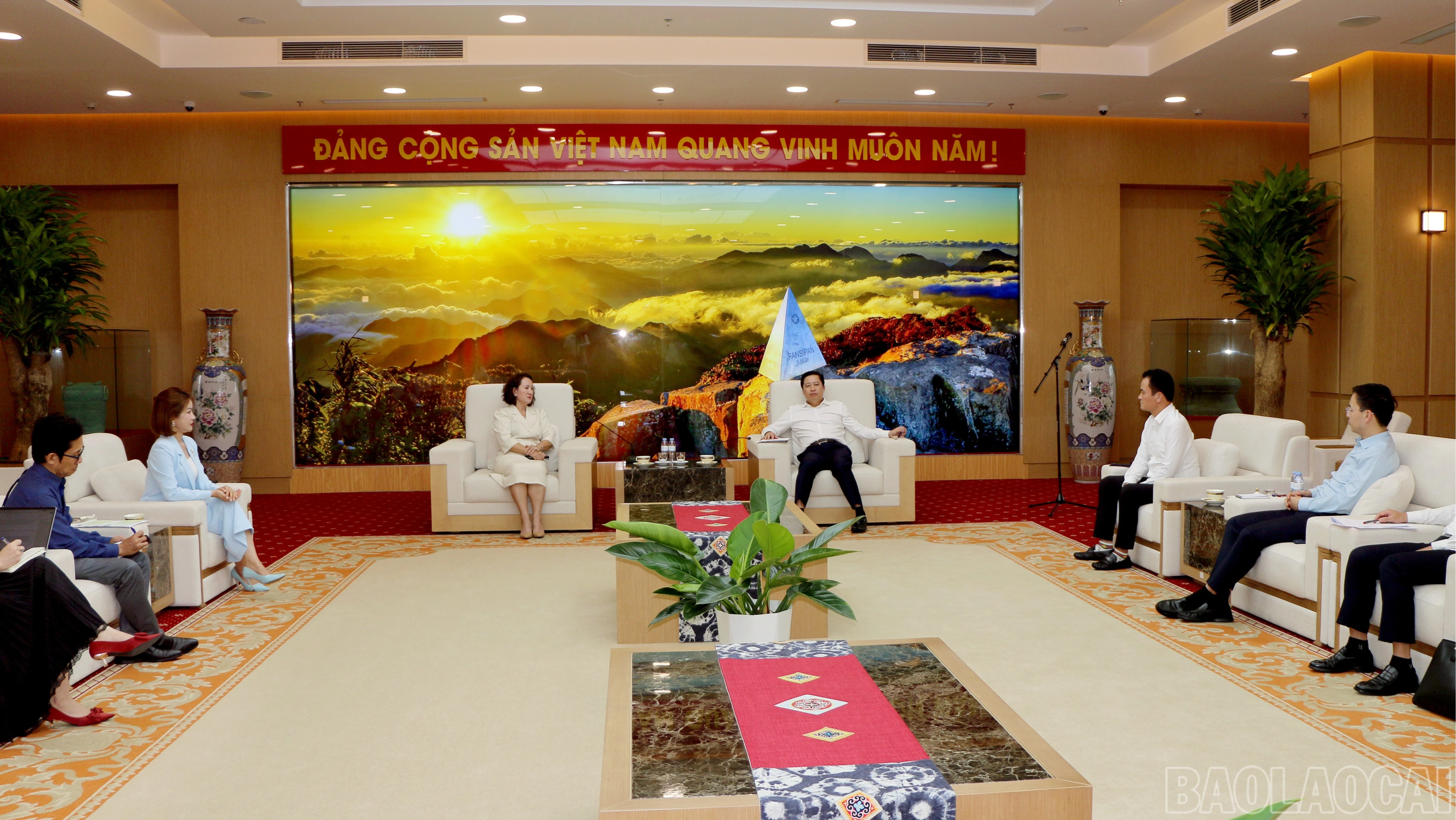 baolaocai-br_quang-canh-9842.jpg