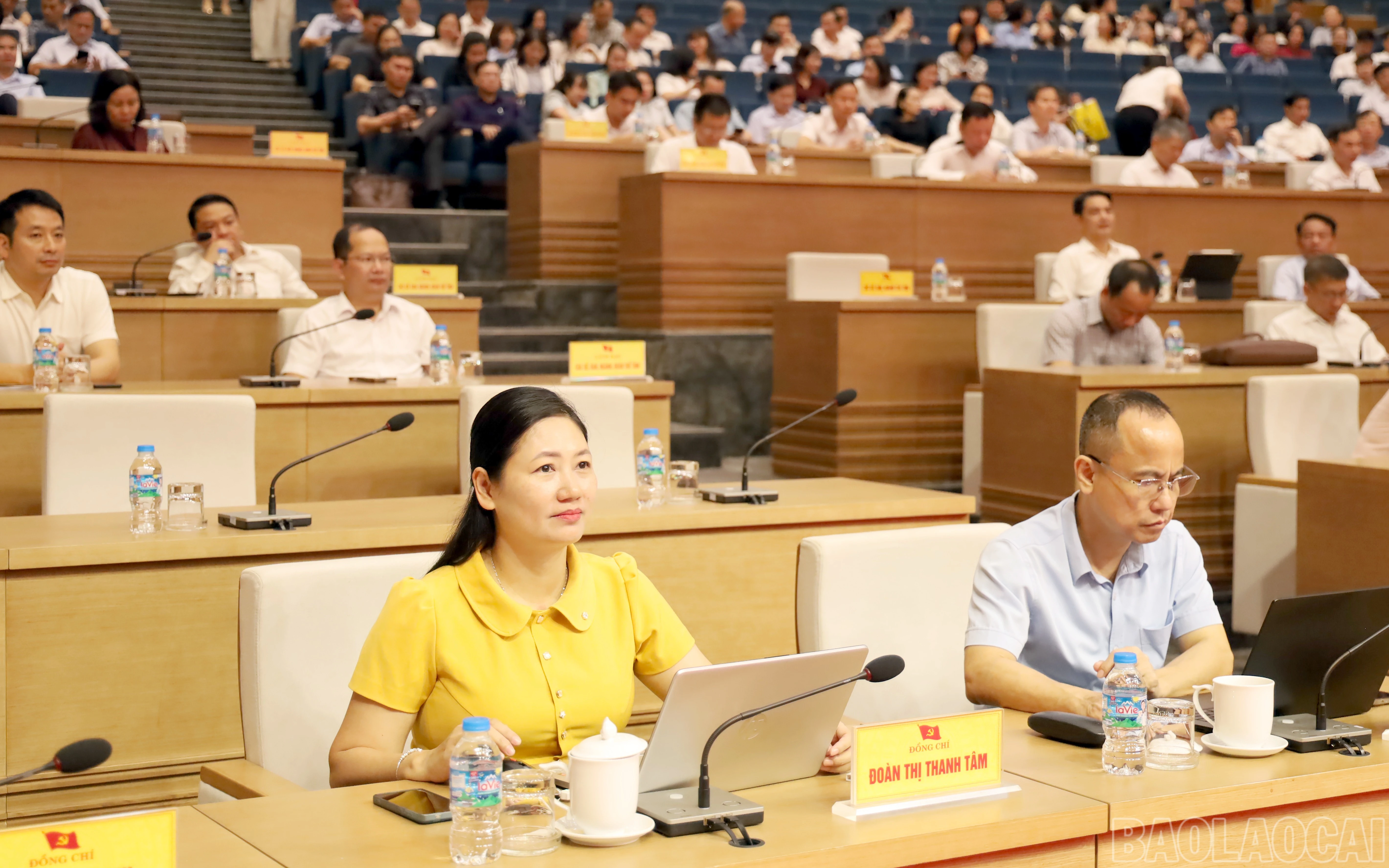 baolaocai-br_img-3878.jpg