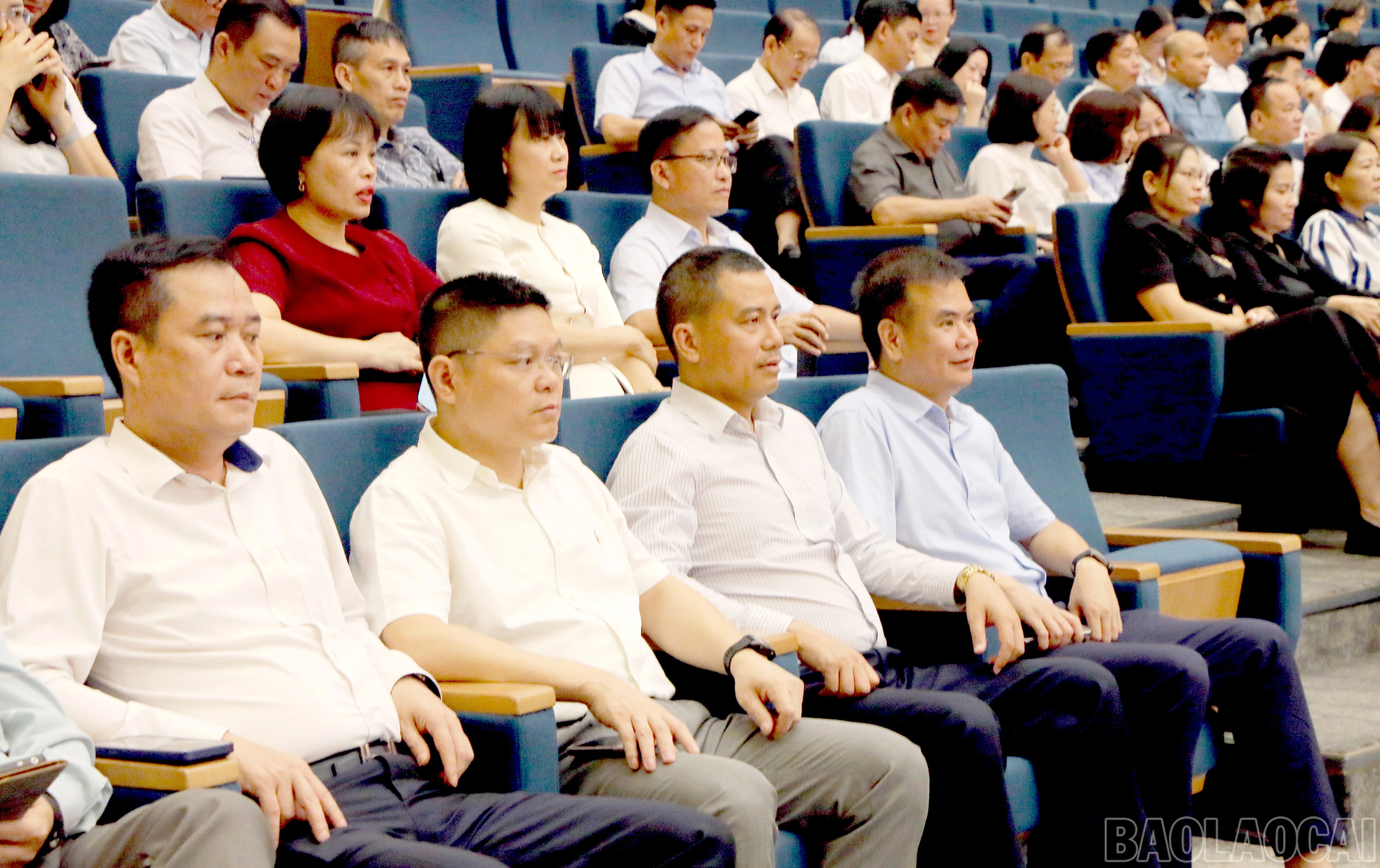 baolaocai-br_img-4497.jpg