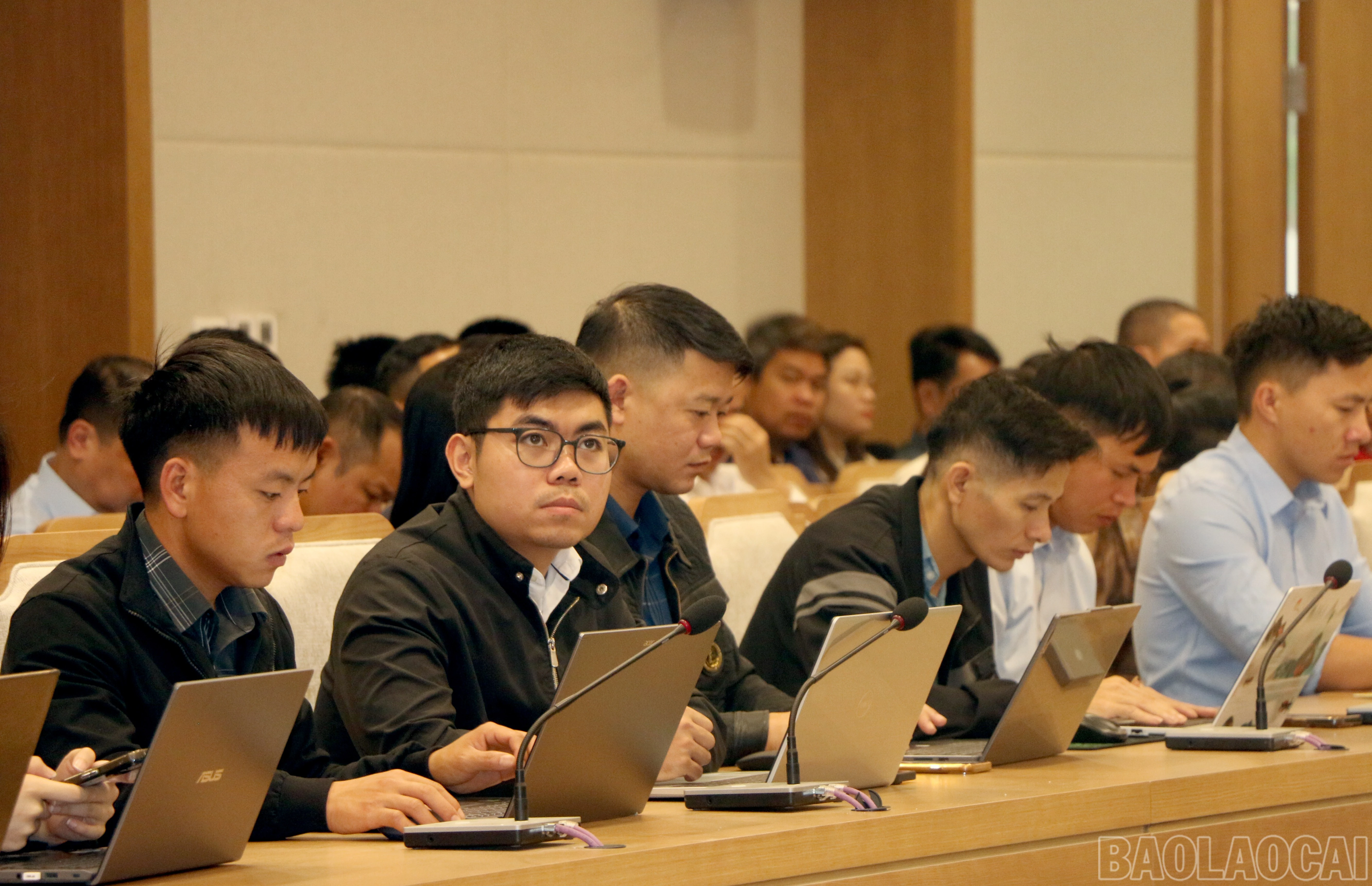 baolaocai-br_img-0510.jpg