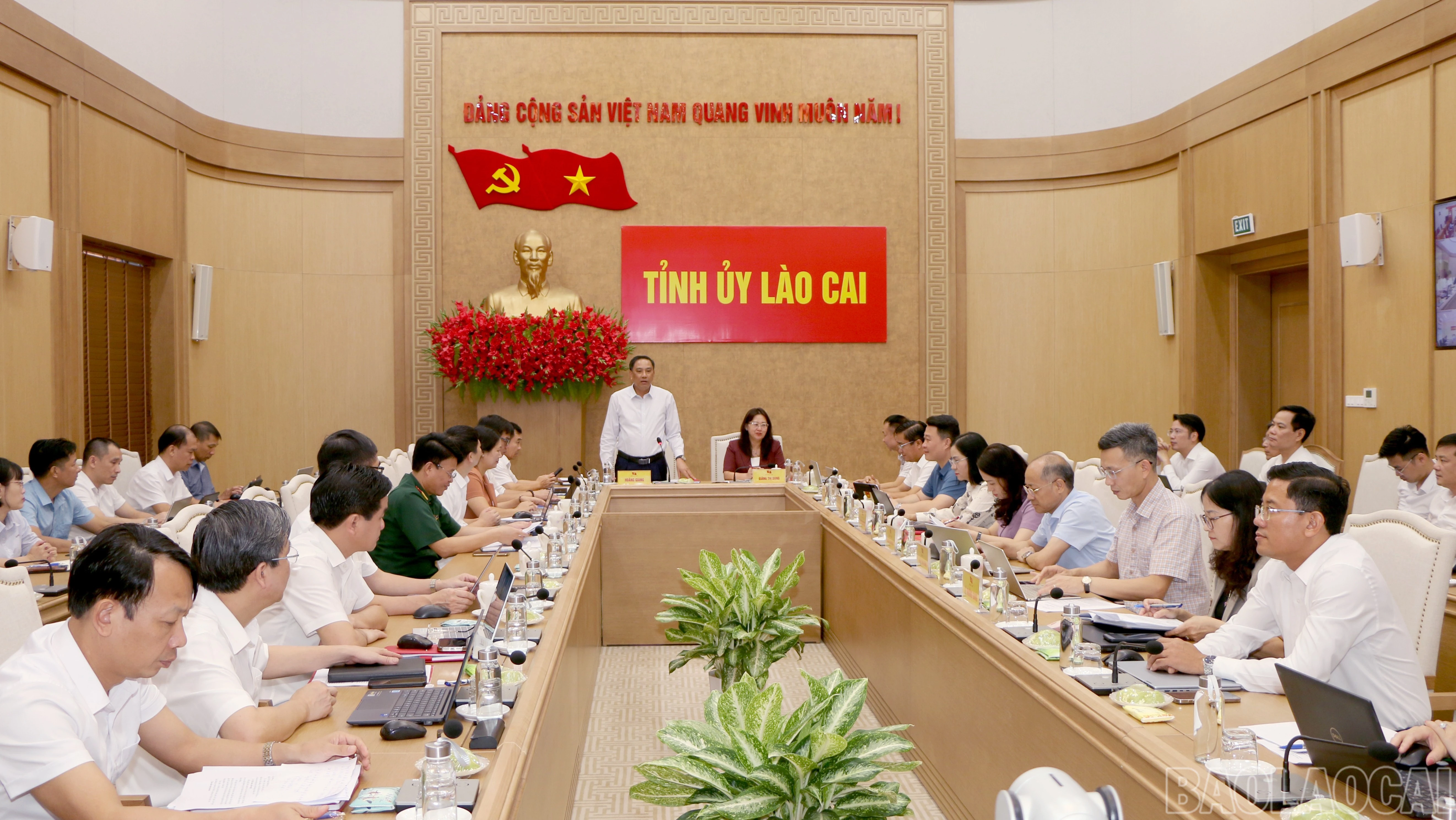 baolaocai-br_img-9539-2278.jpg