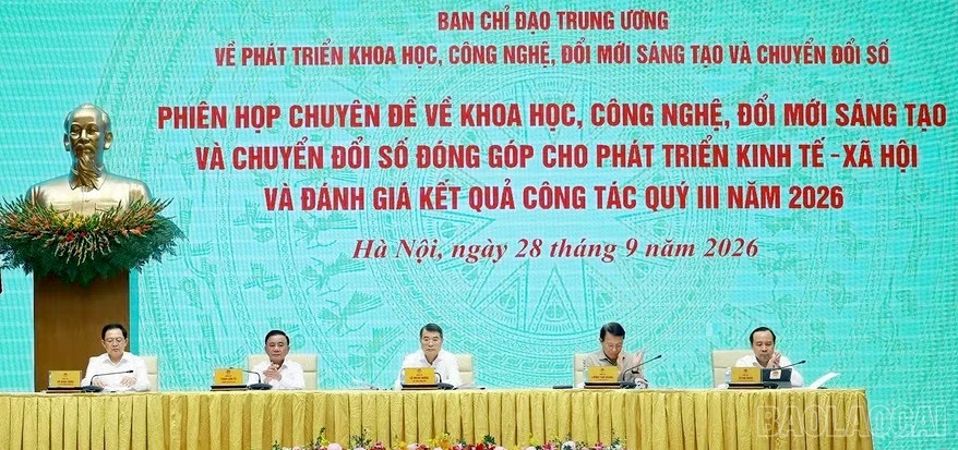 baolaocai-br_125.jpg