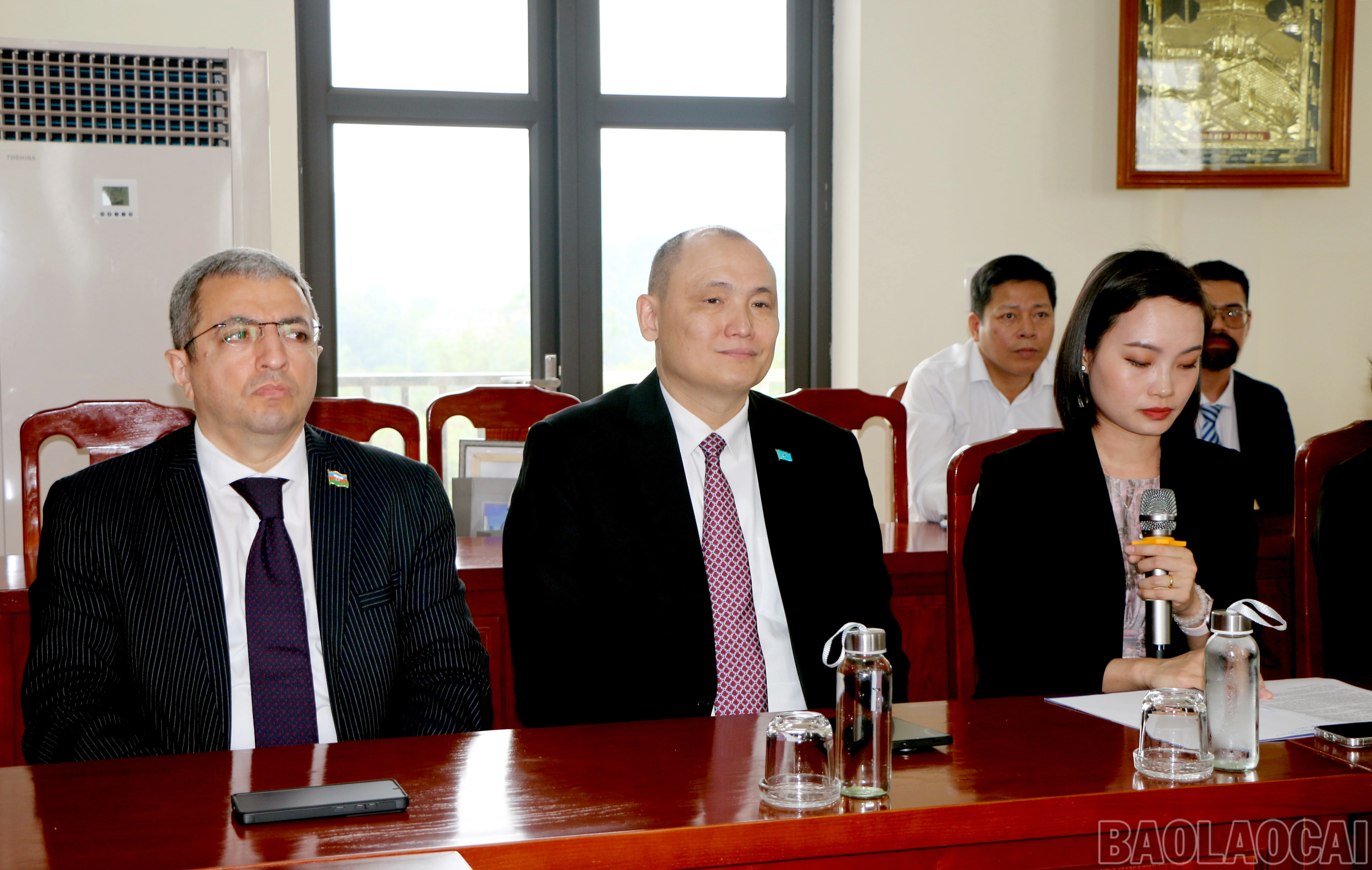 baolaocai-br_img-2240.jpg