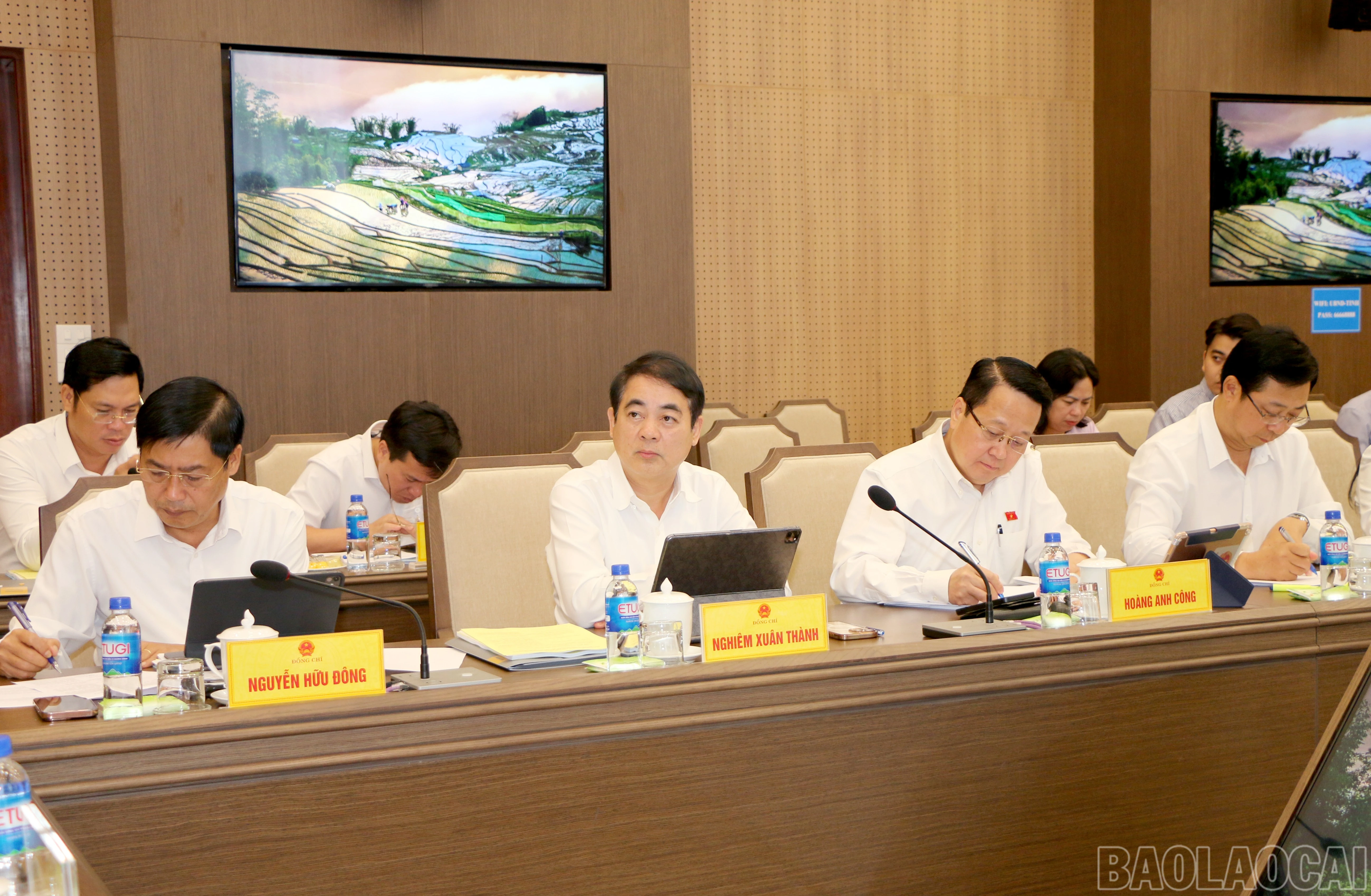 baolaocai-br_20.jpg