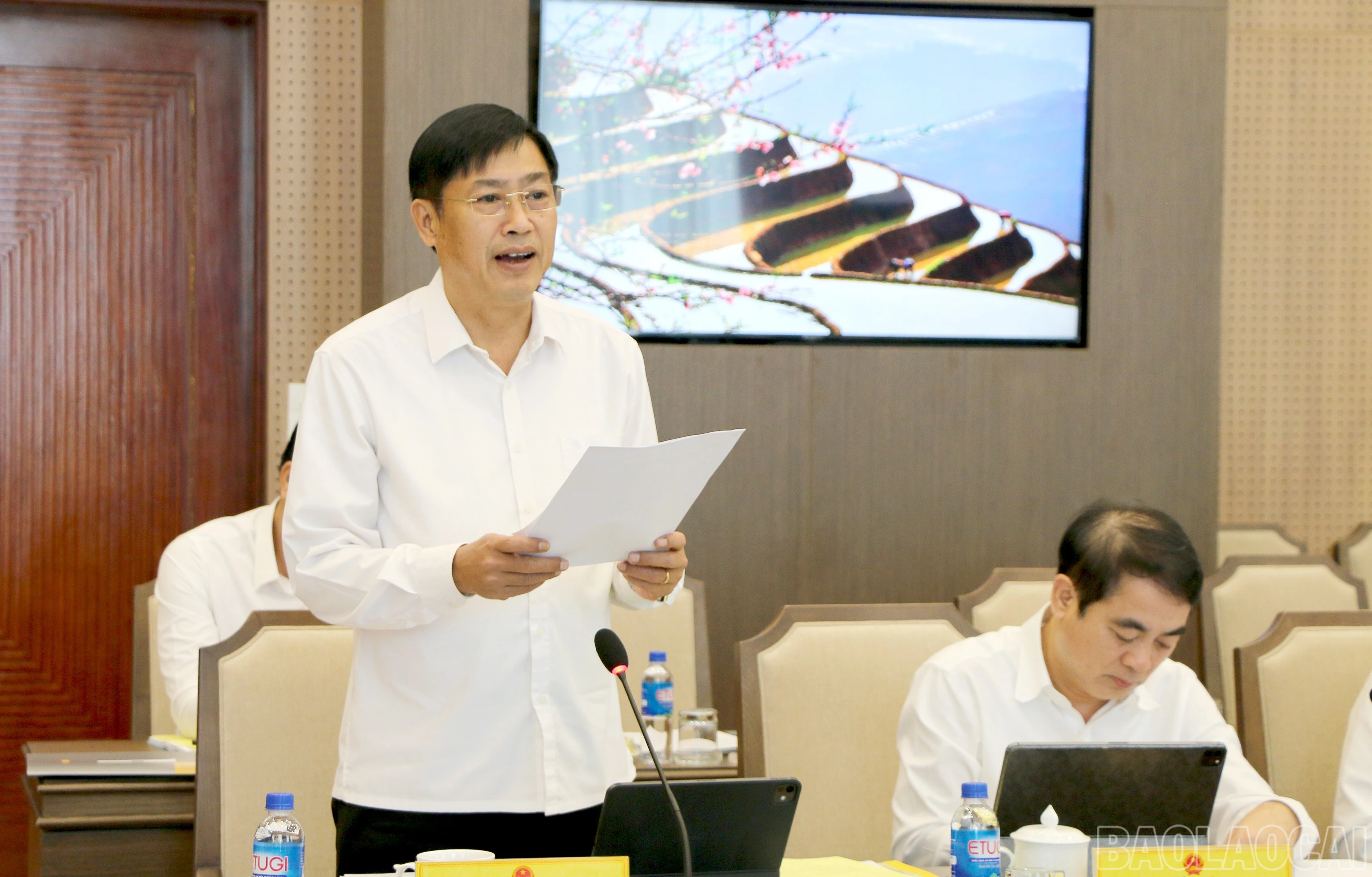 baolaocai-br_6.jpg