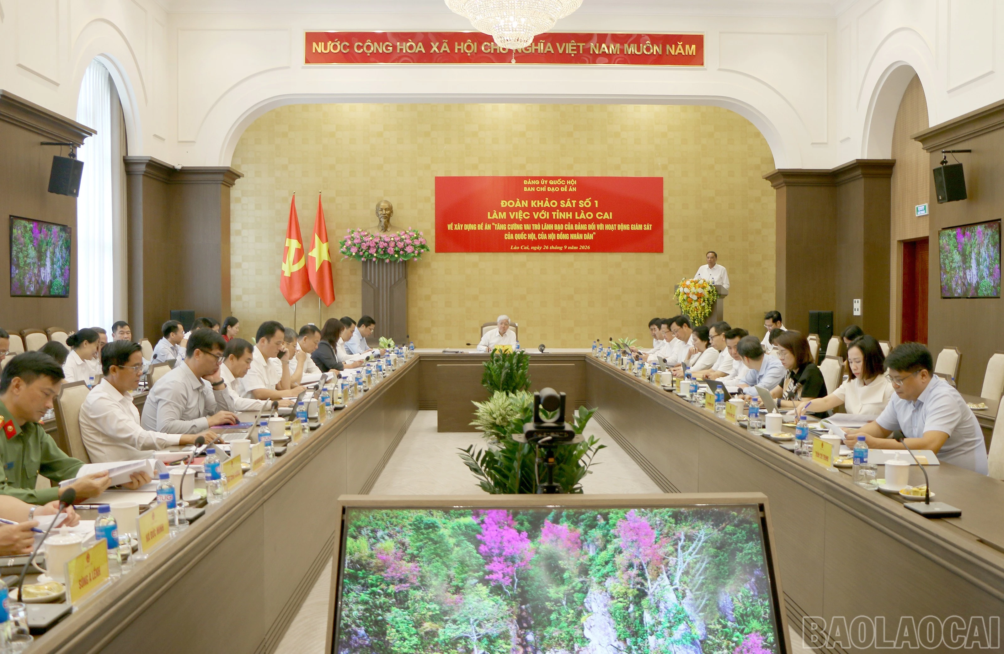 baolaocai-br_quanh.jpg