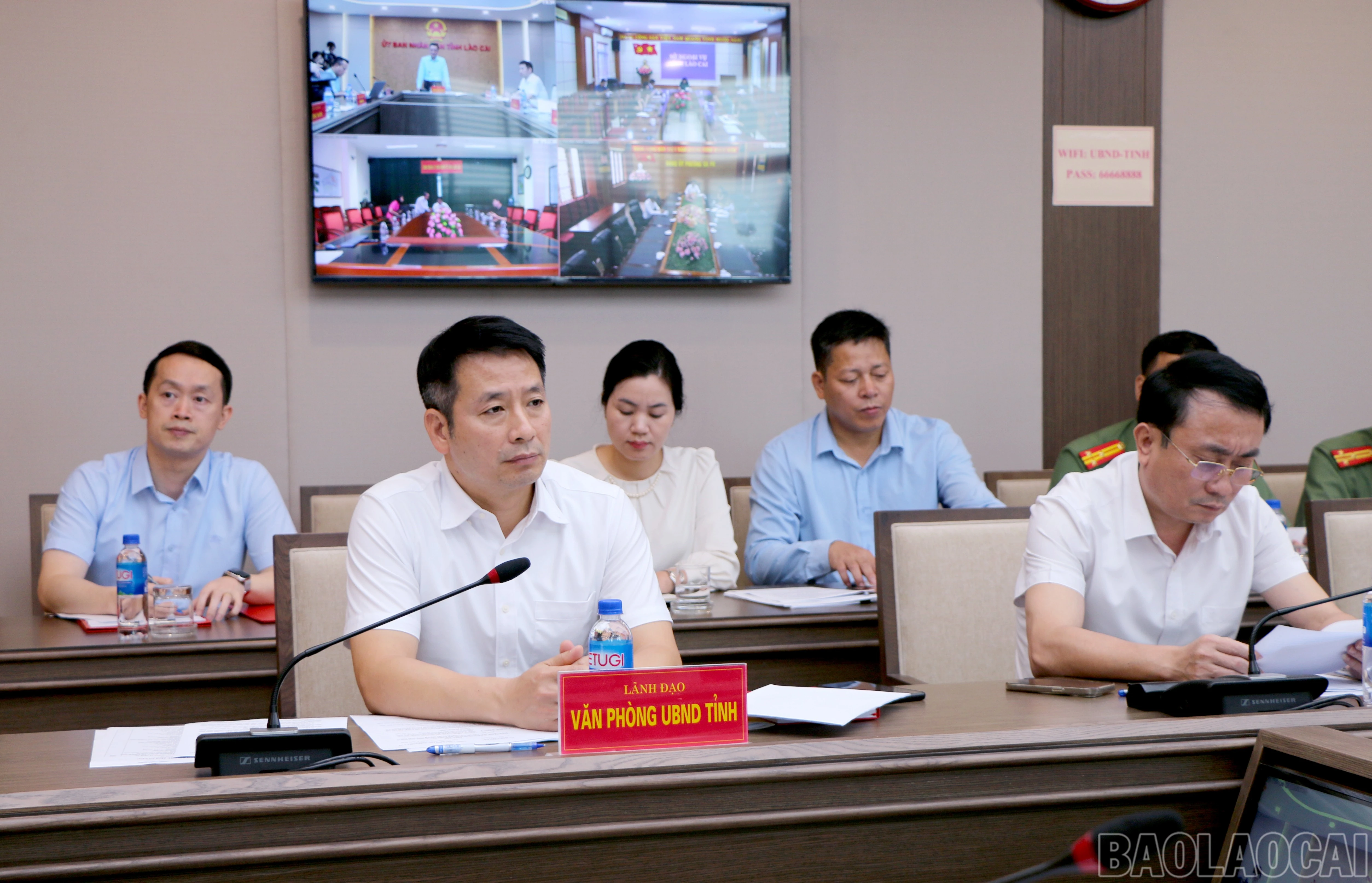 baolaocai-br_img-7474.jpg