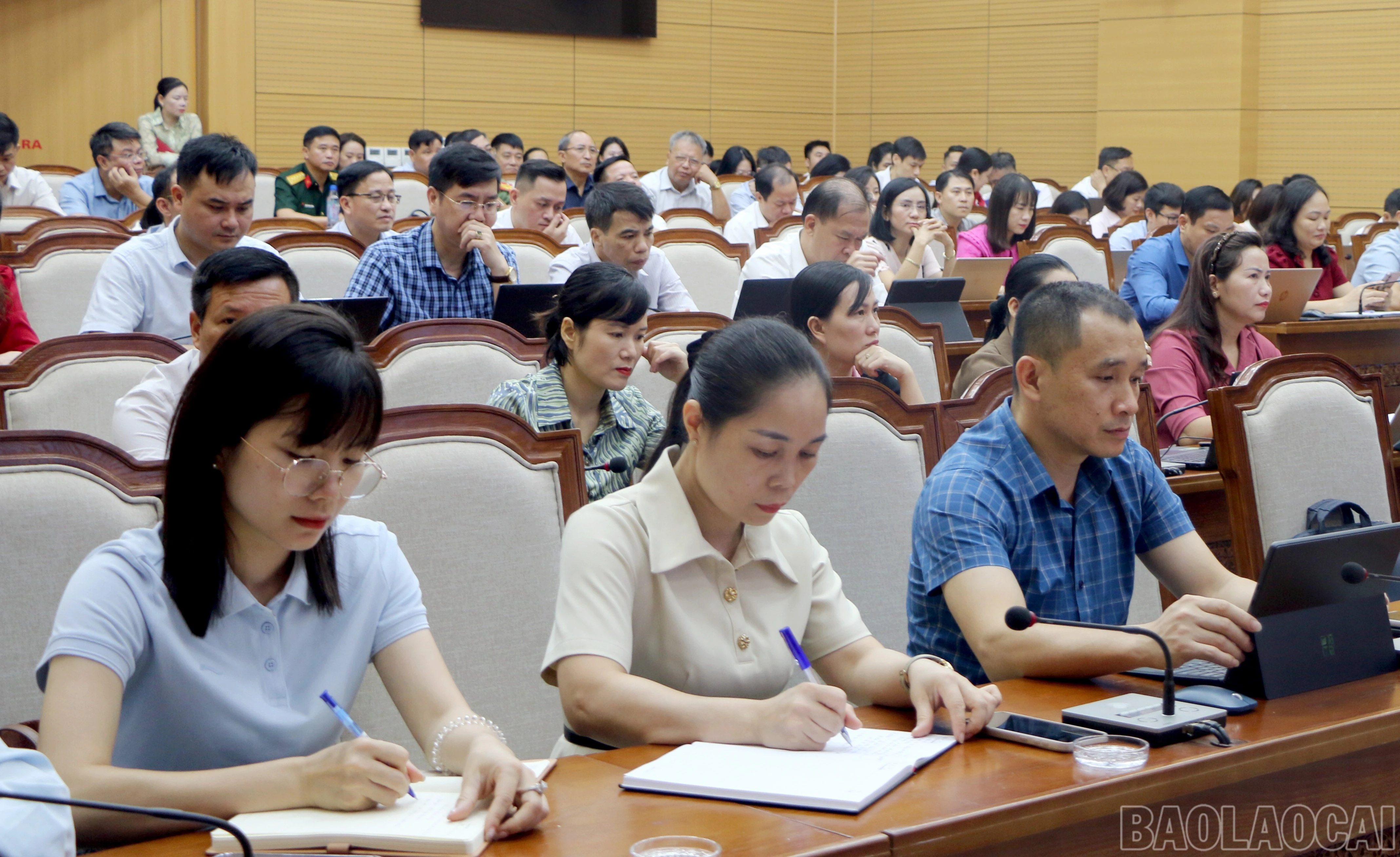 baolaocai-br_img-9956.jpg