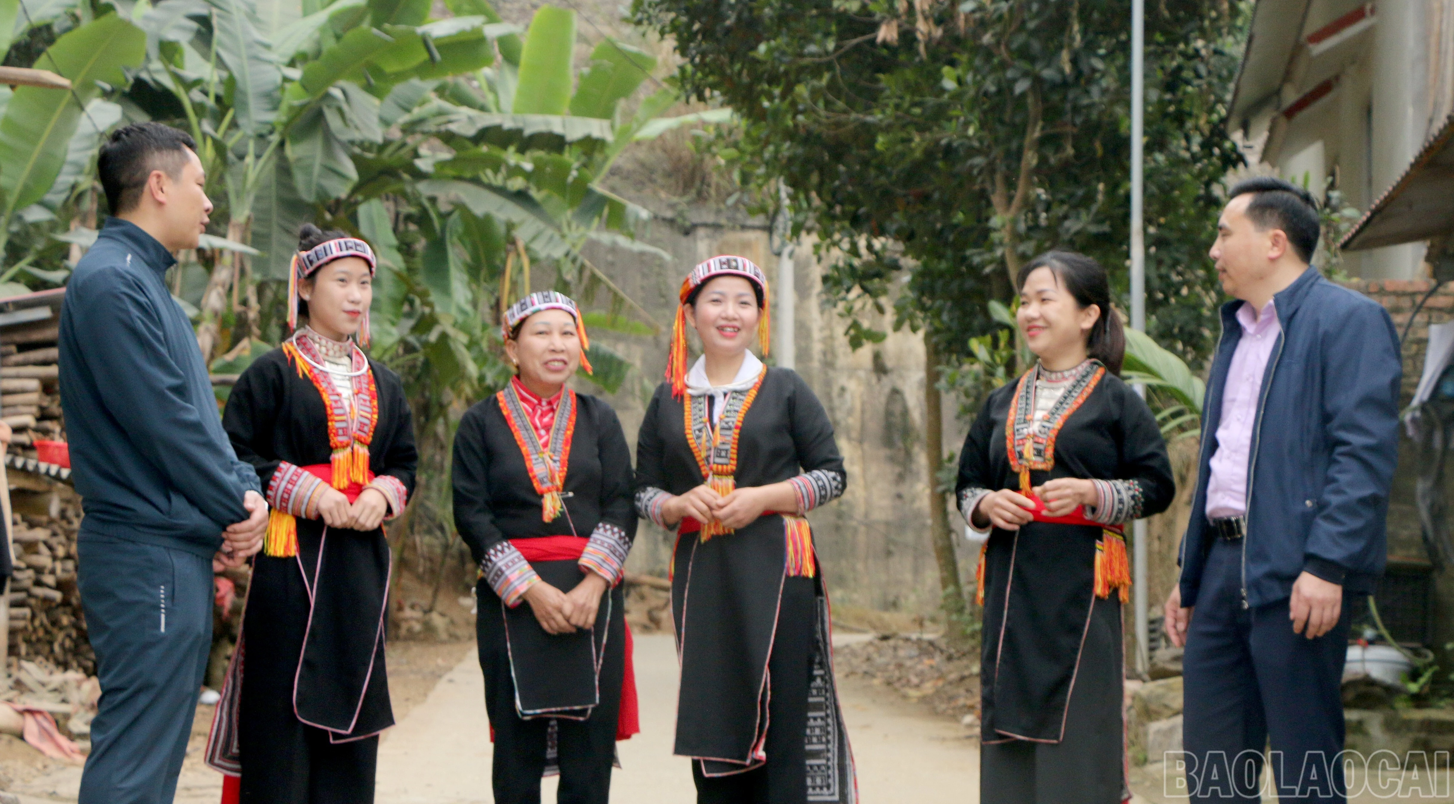 baolaocai-br_111-2450.jpg