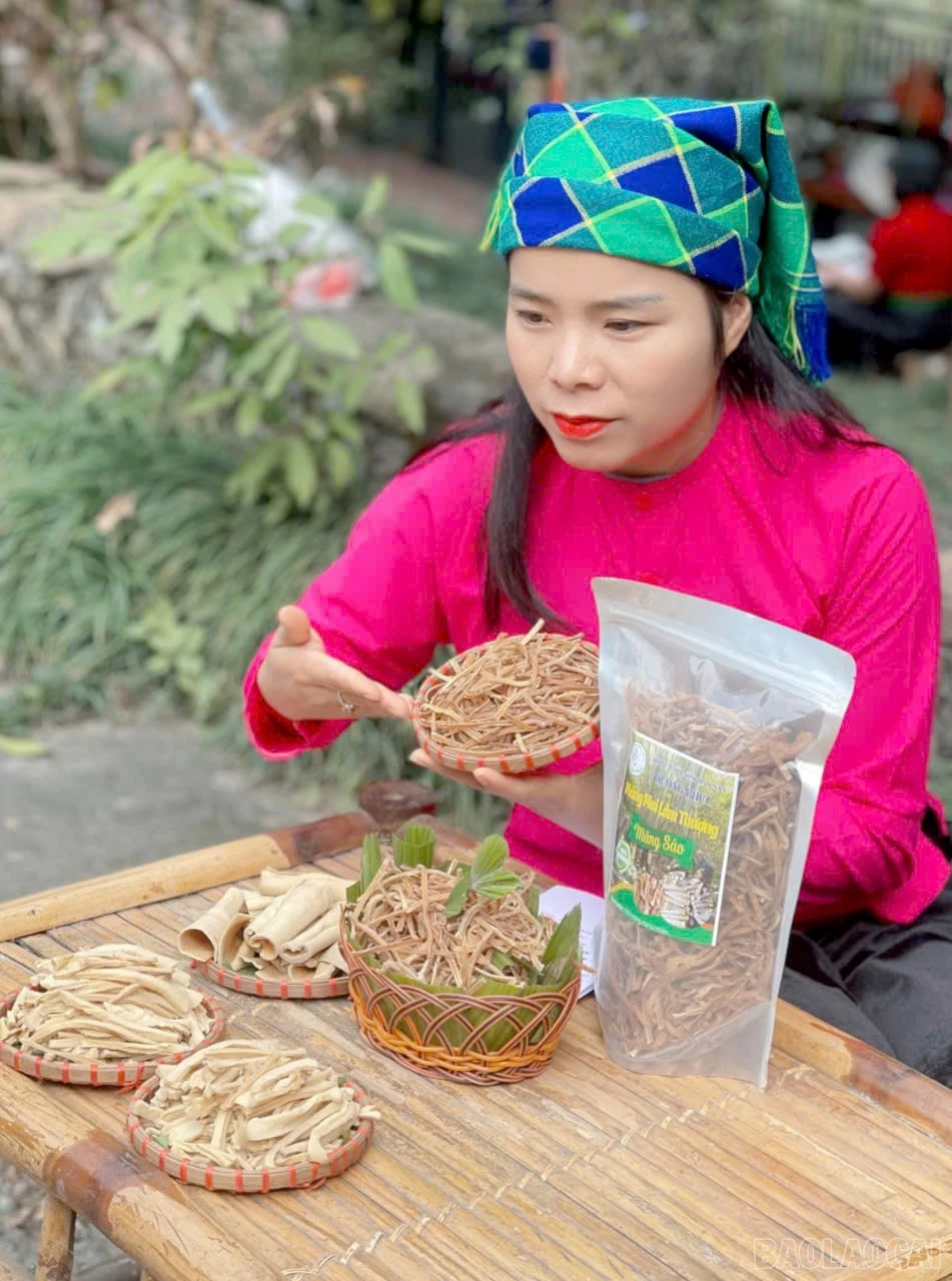 baolaocai-br_1772253248070-6183889622650777626-g690004354591944280-81b2234d0548f180d959e5107a2b18f6.jpg
