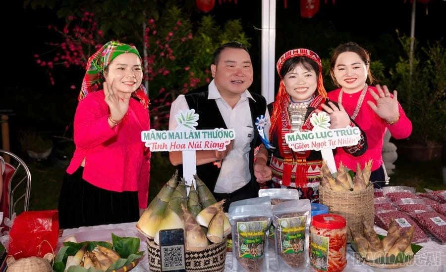 baolaocai-br_55.jpg