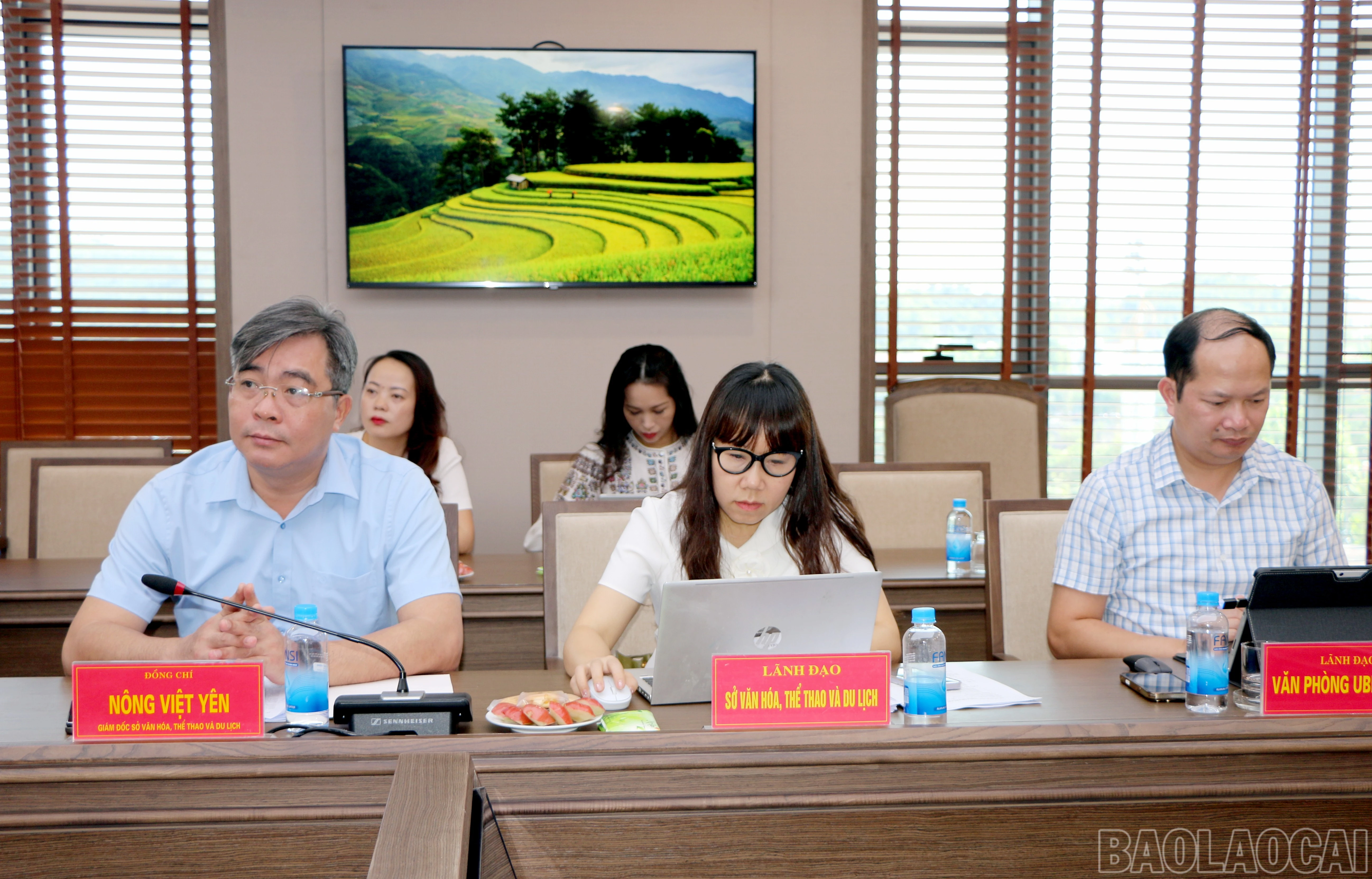 baolaocai-br_img-6313.jpg