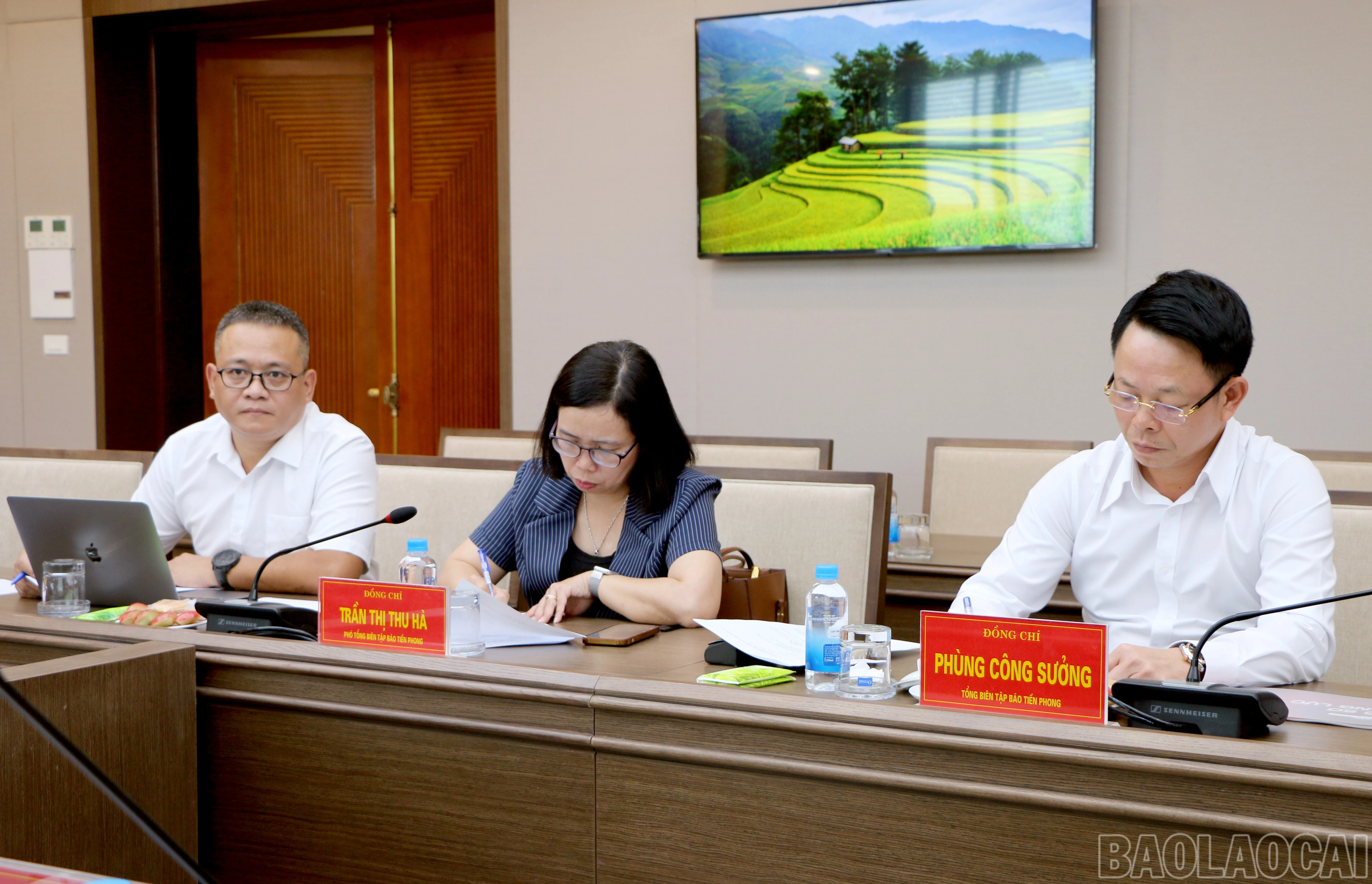 baolaocai-br_img-6321.jpg