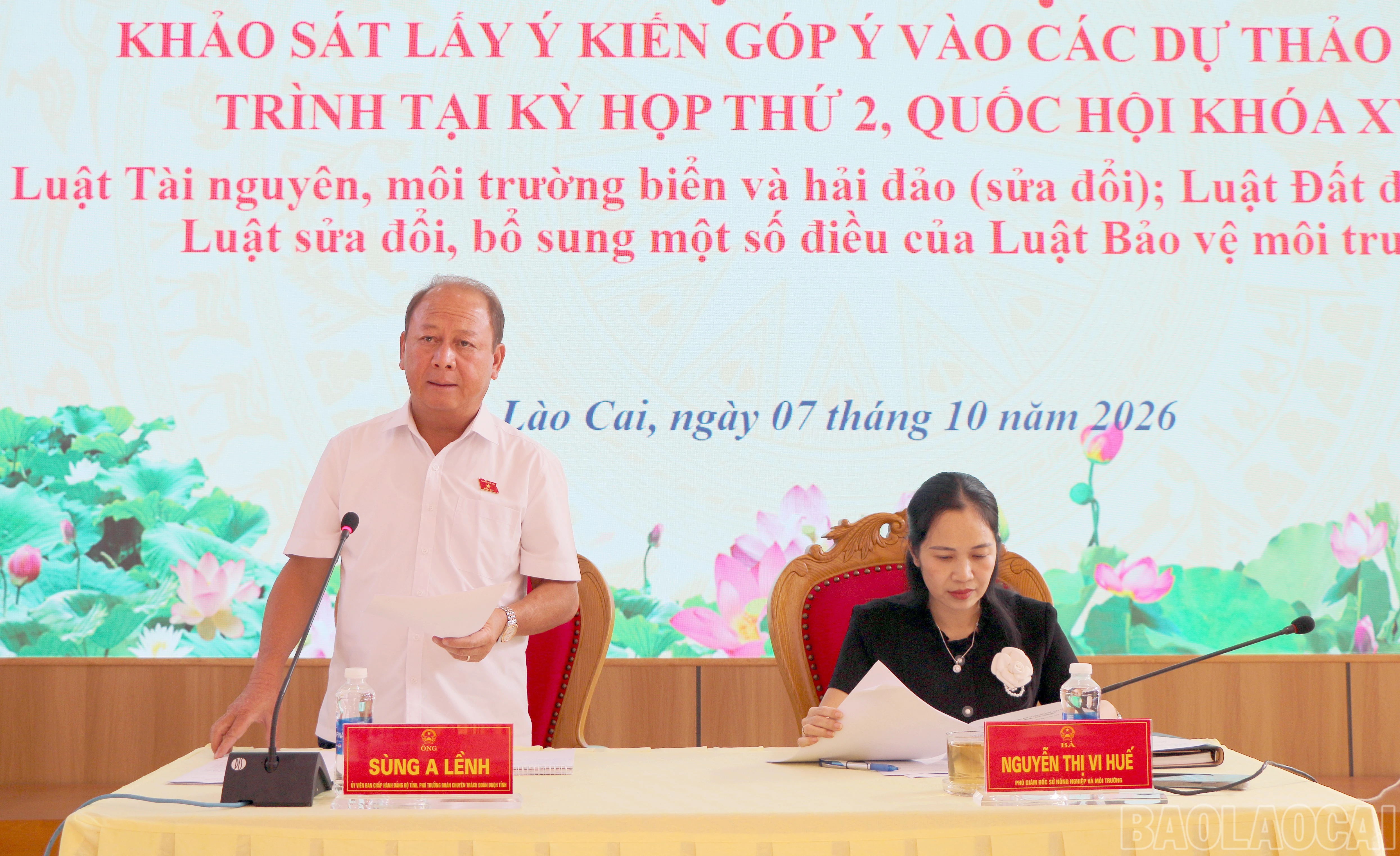 baolaocai-br_img-0056.jpg