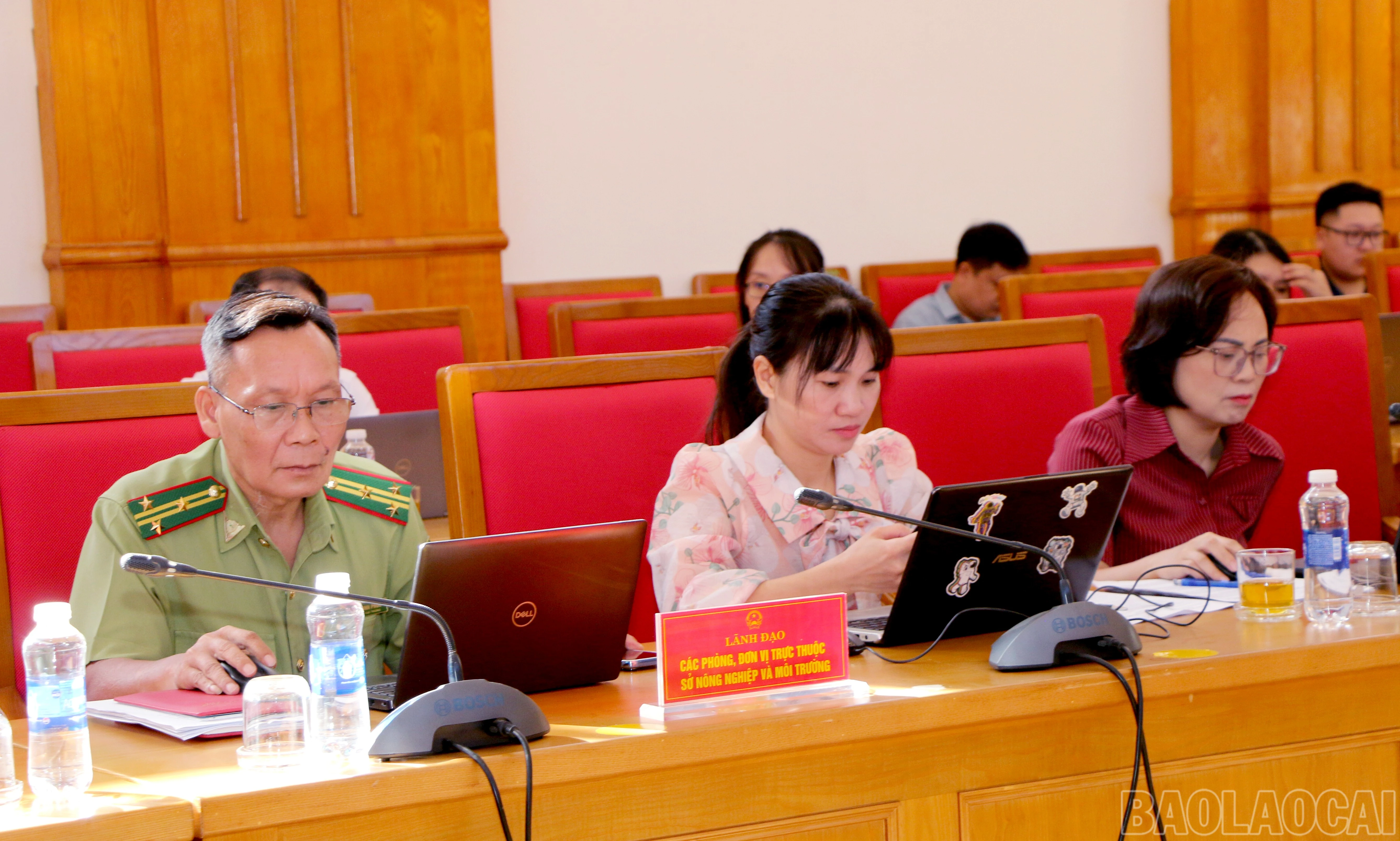 baolaocai-br_img-0062.jpg
