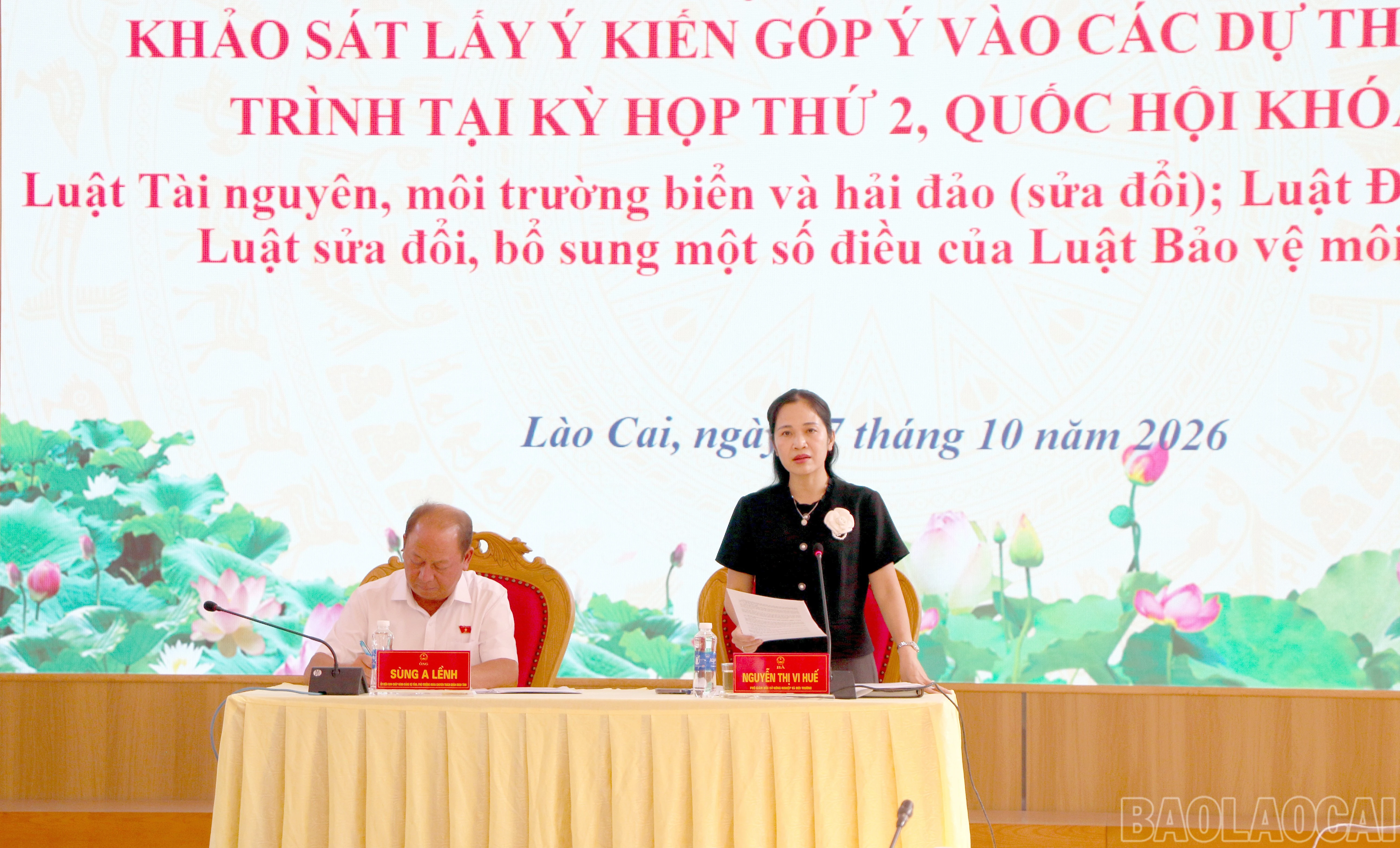 baolaocai-br_img-0090.jpg