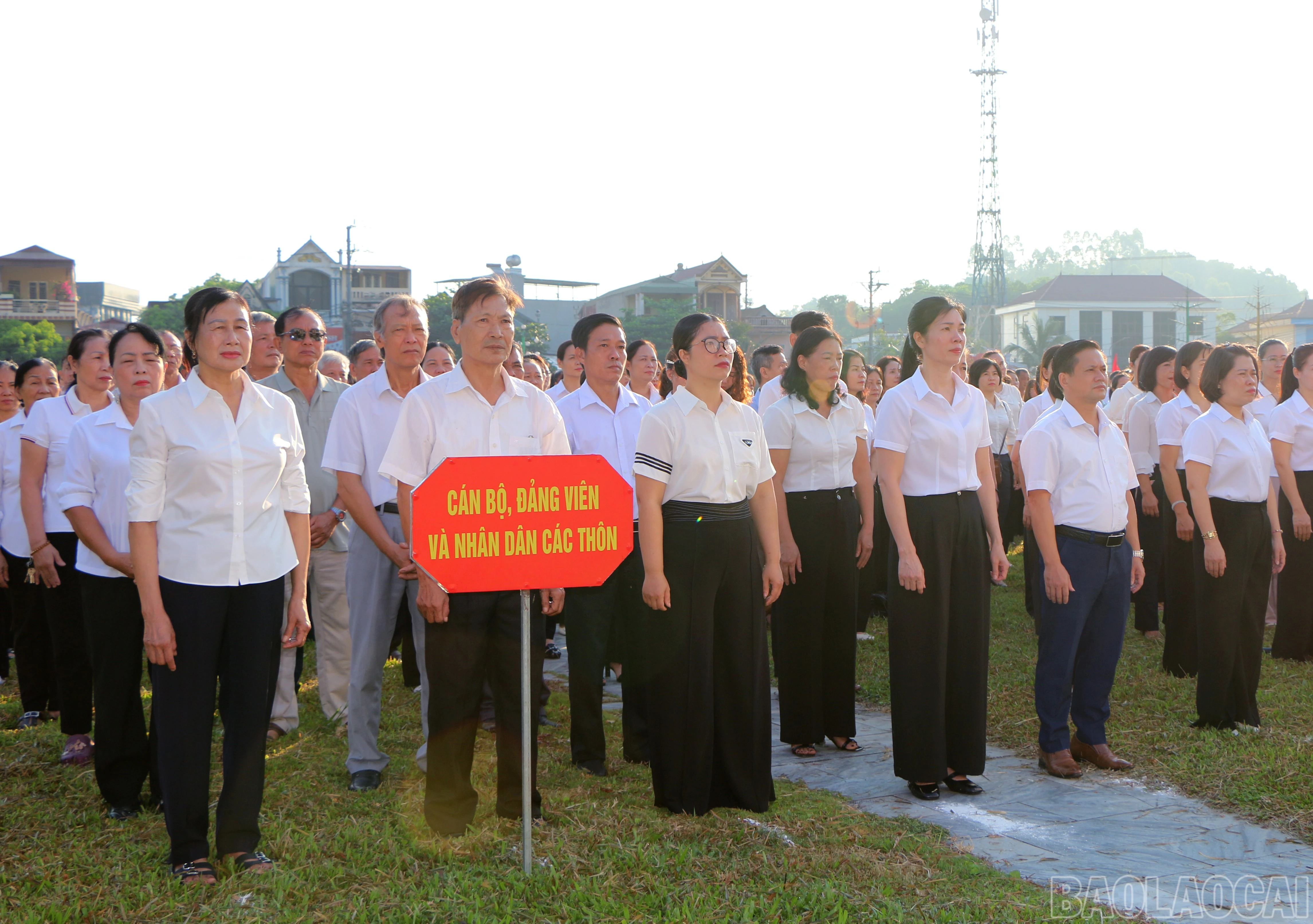 baolaocai-br_img-7747.jpg