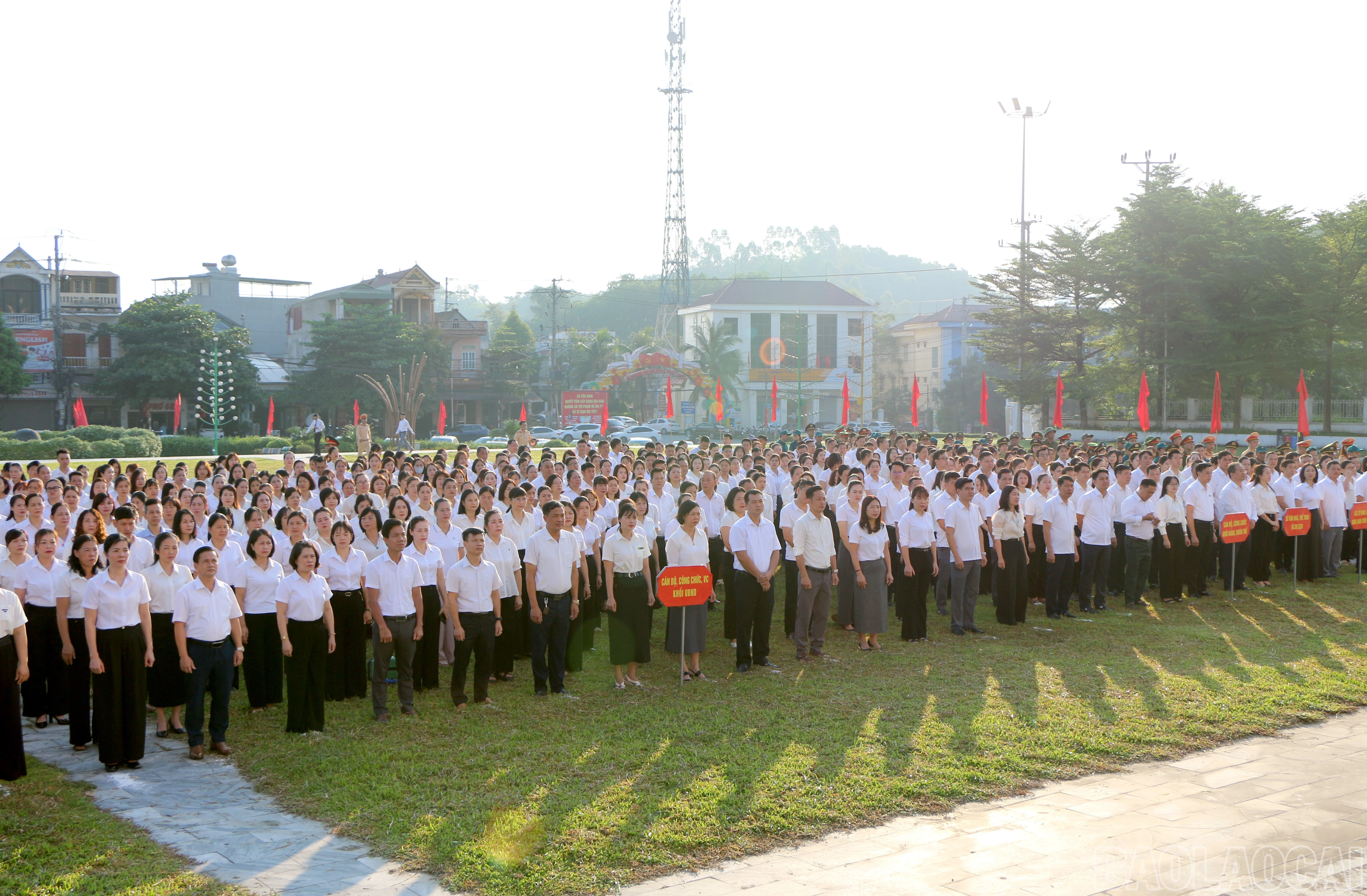baolaocai-br_img-7745.jpg