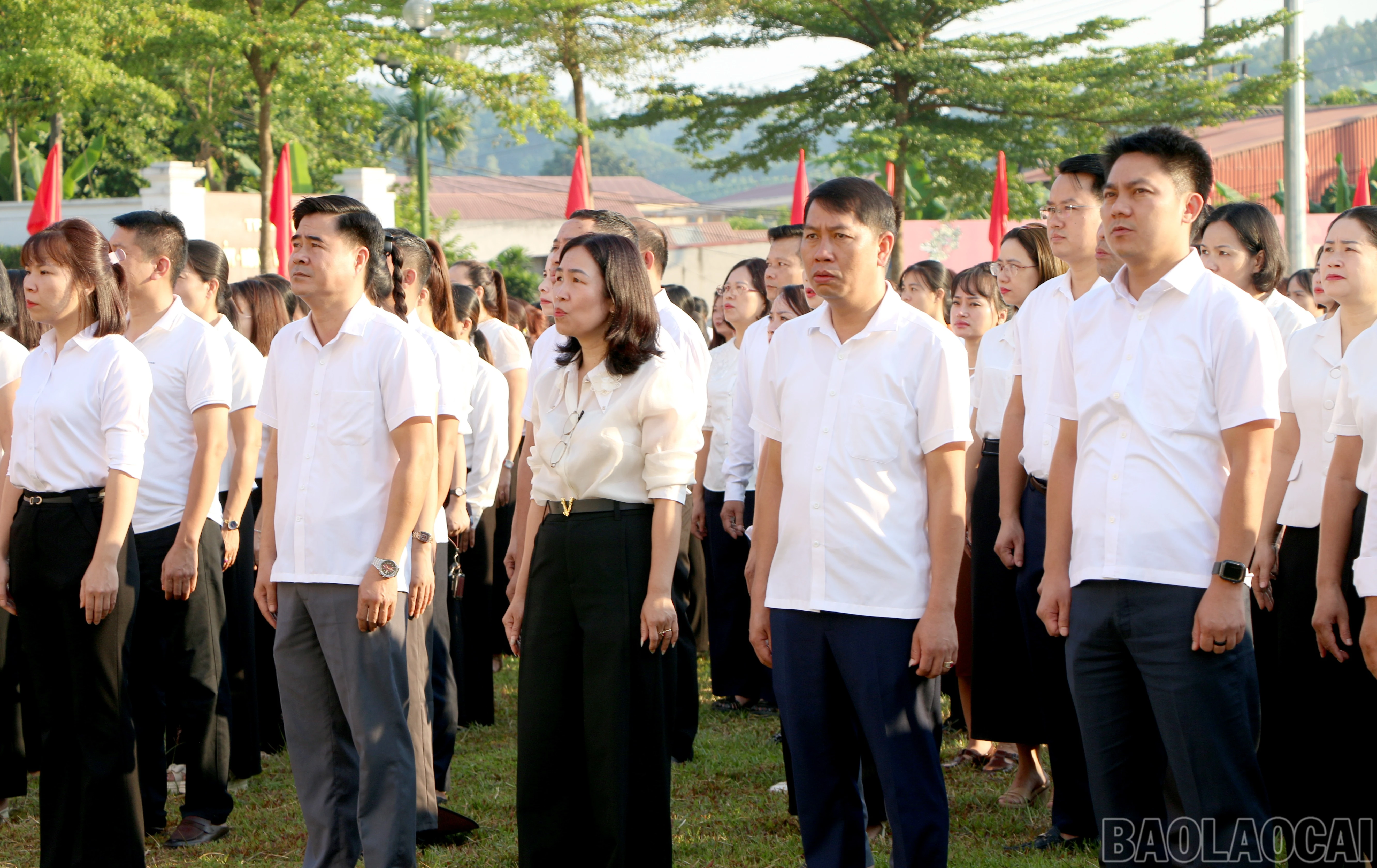 baolaocai-br_img-7760.jpg