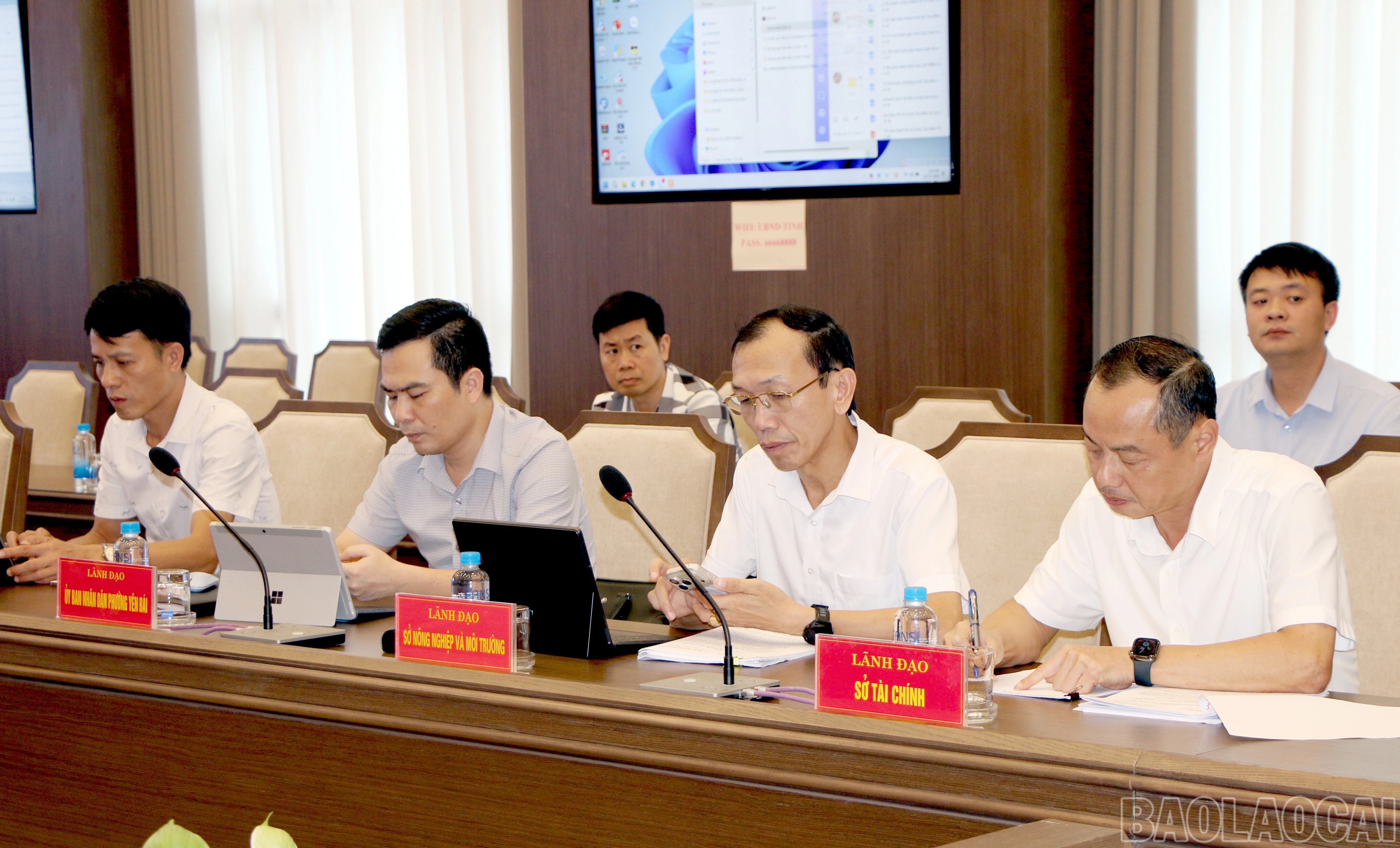 baolaocai-br_img-4541.jpg