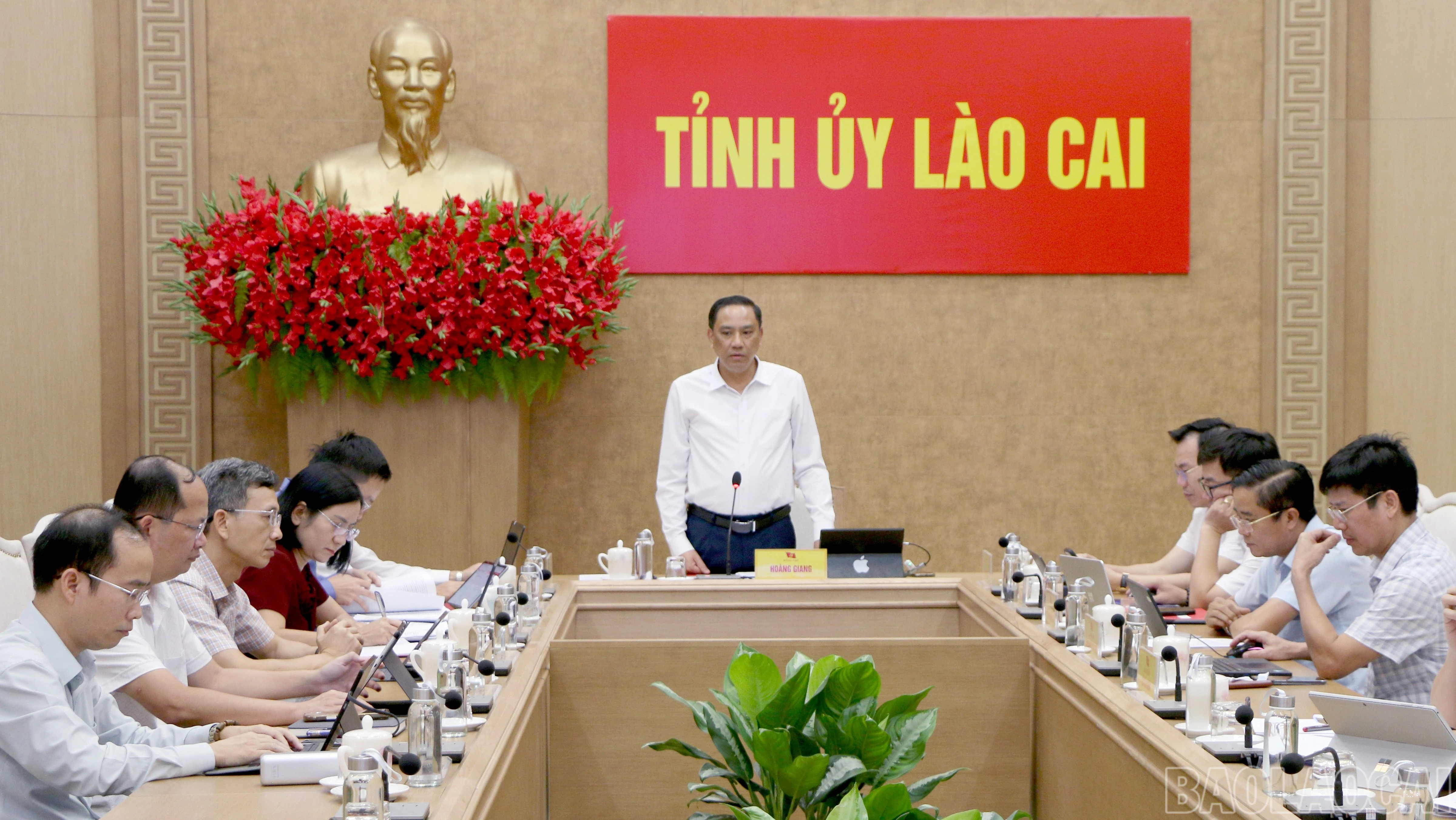 baolaocai-br_img-8108-5877.jpg