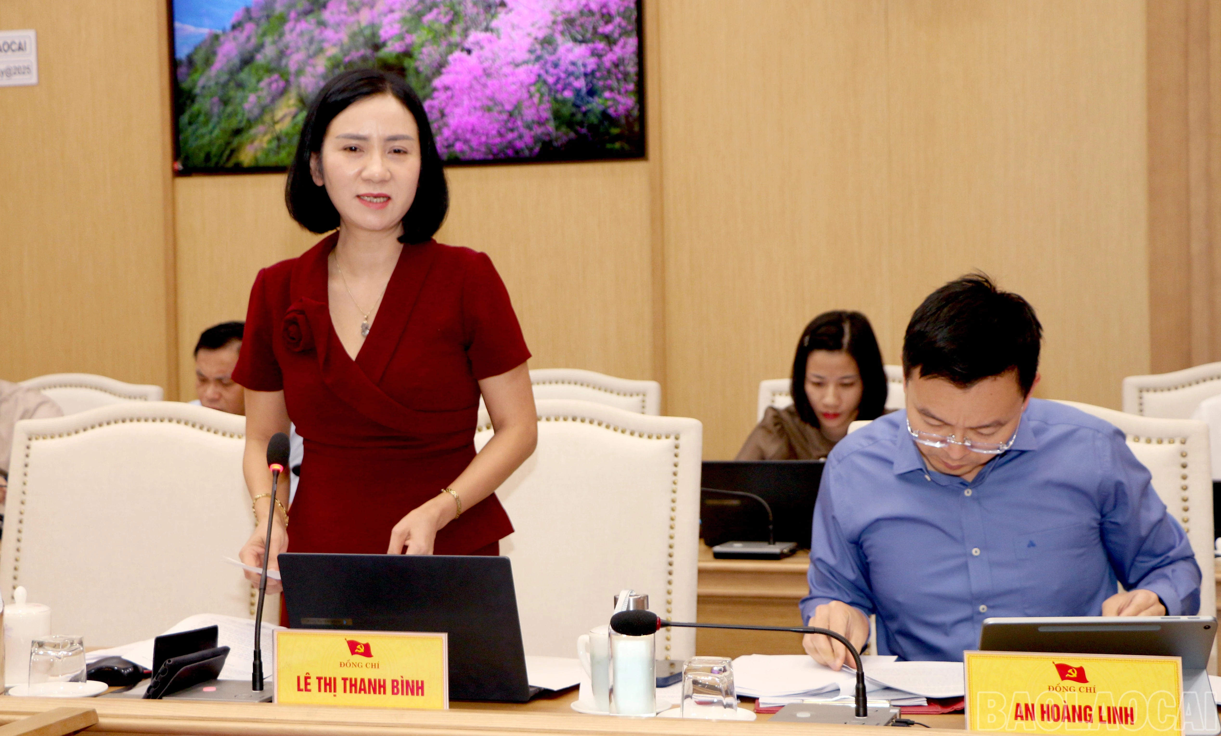 baolaocai-br_img-8166.jpg