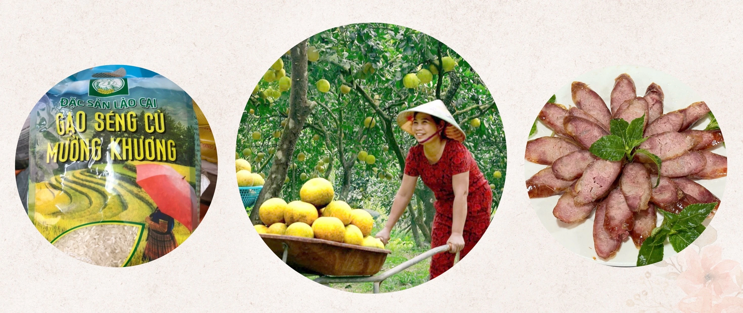anh-gao.jpg