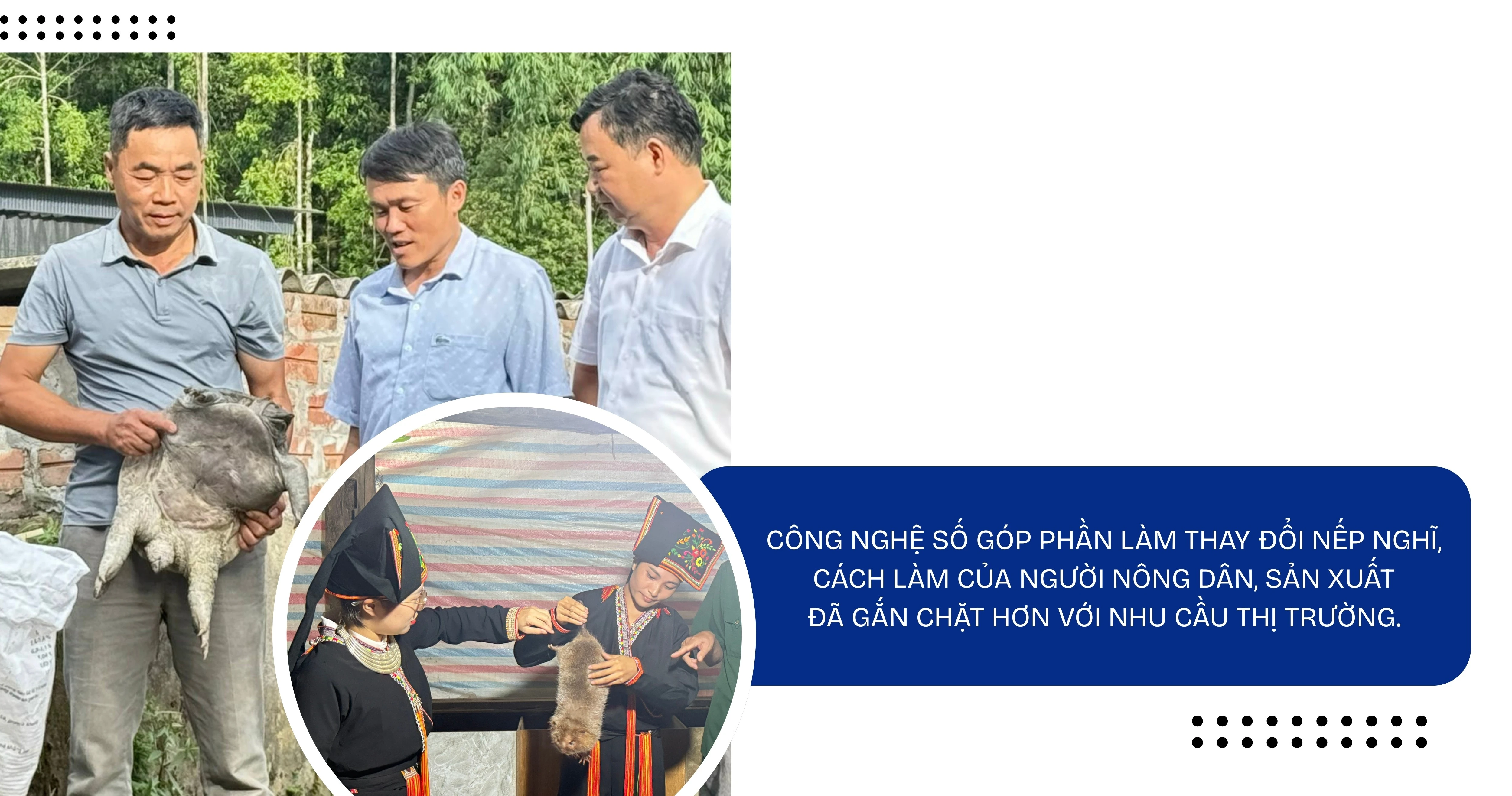 nha-nong2.jpg