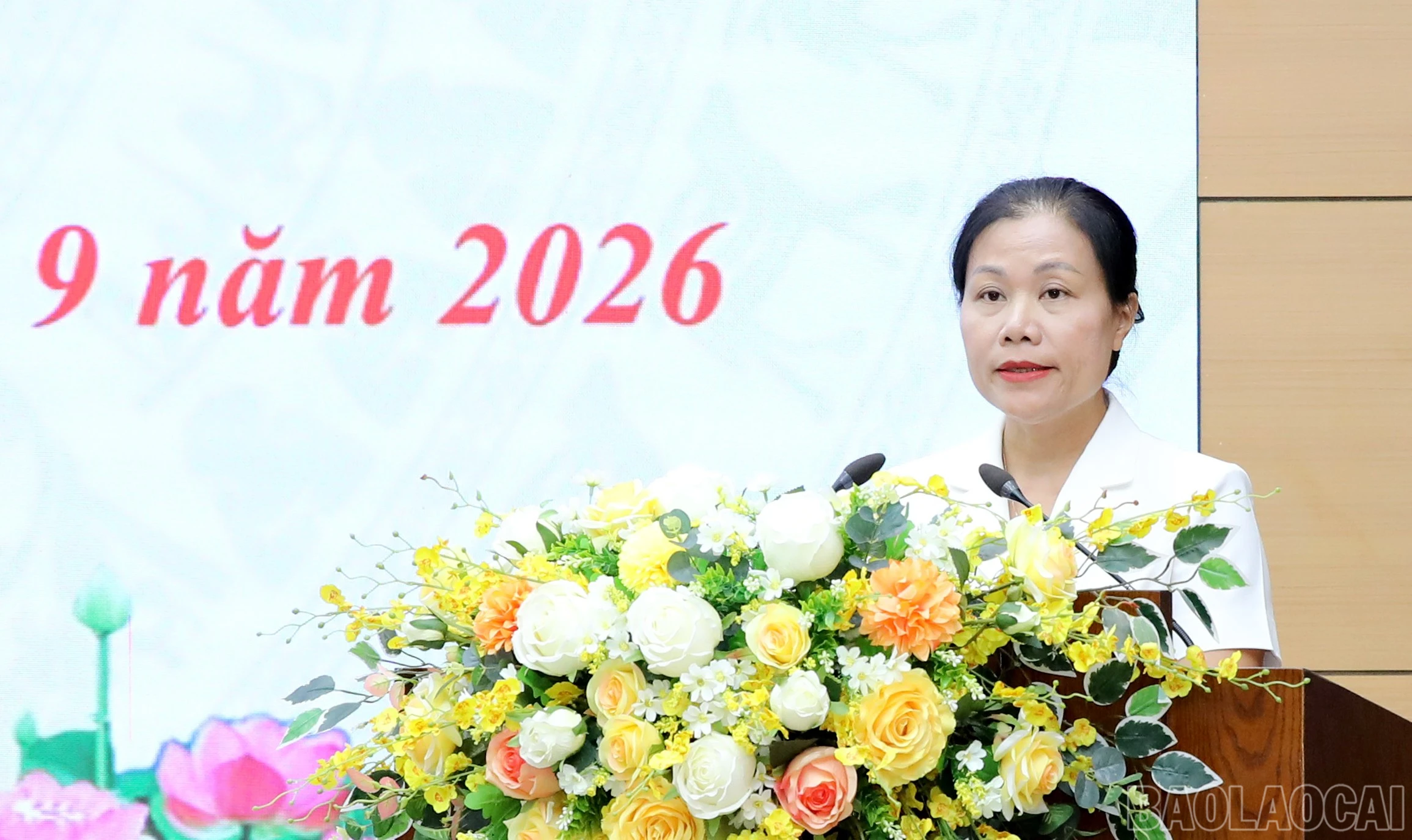 baolaocai-br_4y3a3647.jpg