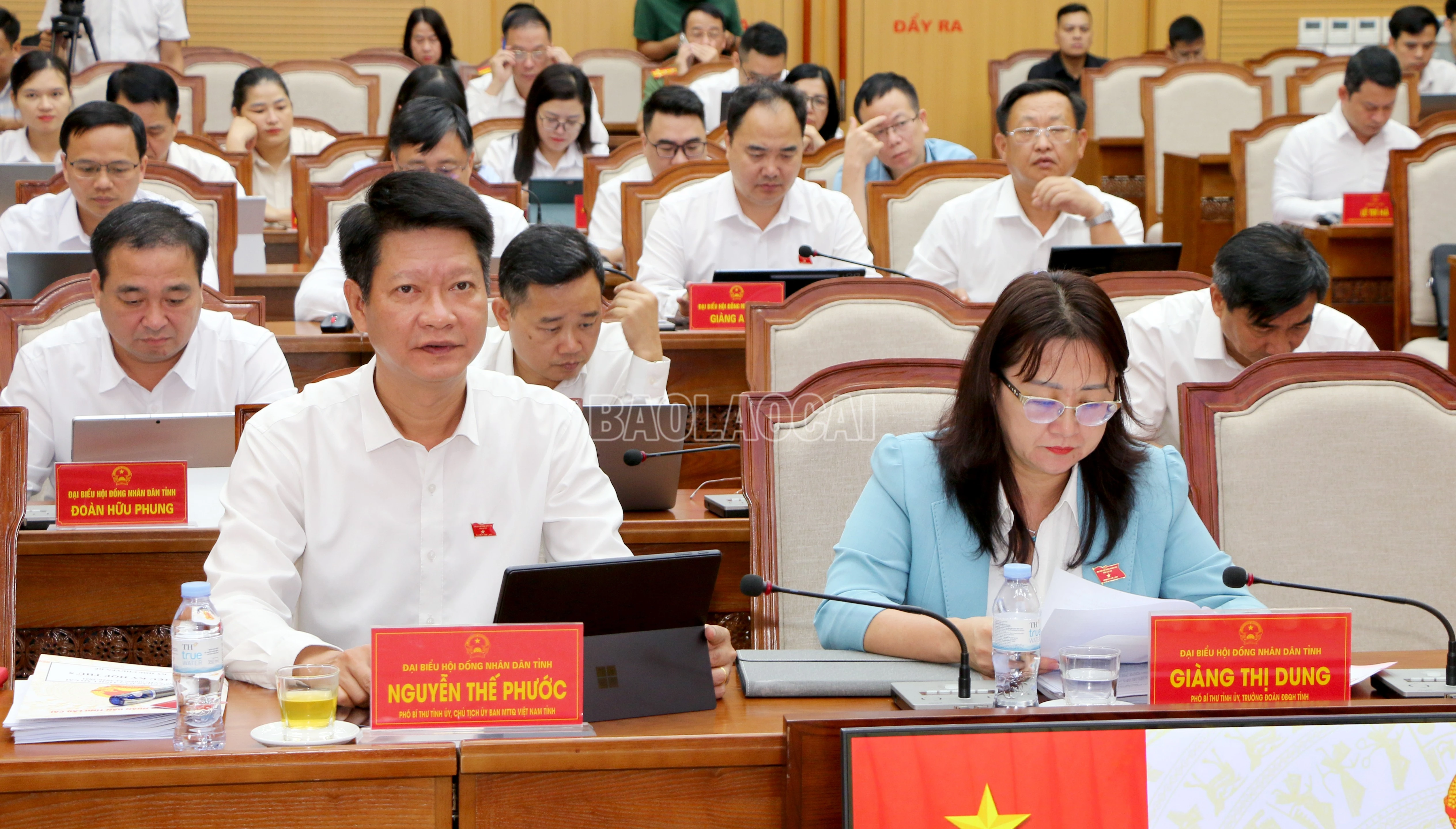 baolaocai-c_img-8449.jpg