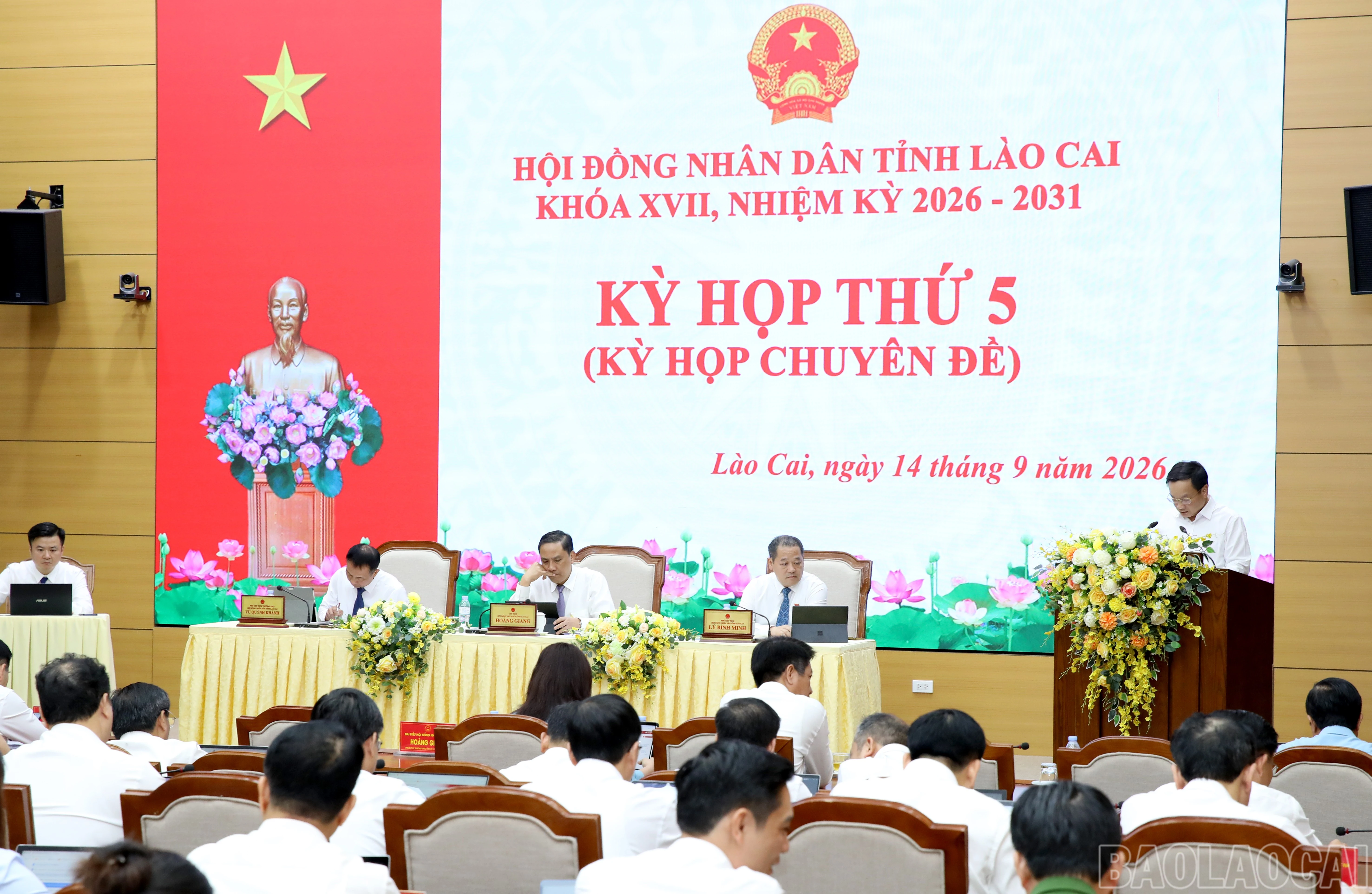 baolaocai-br_4y3a3643.jpg