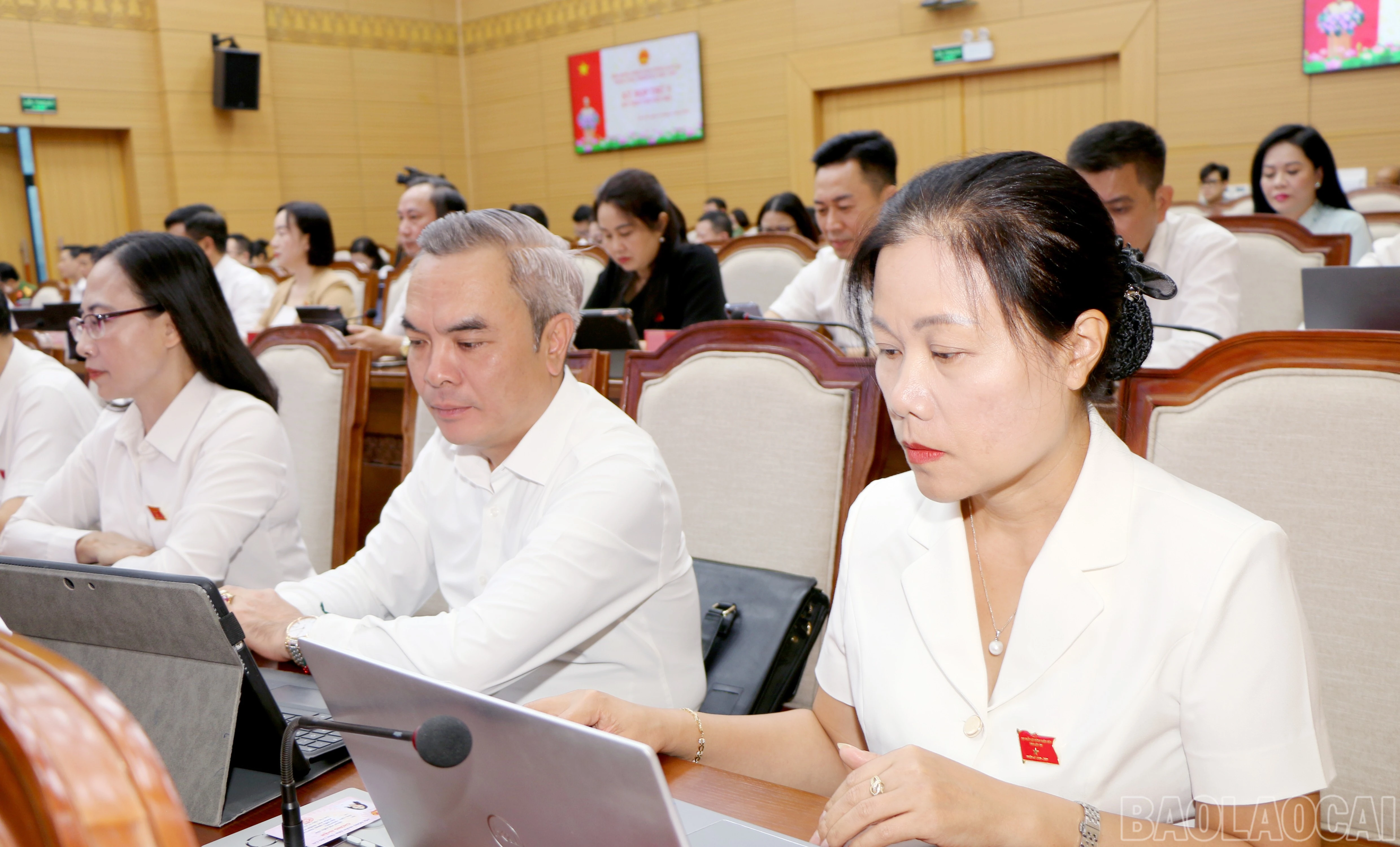 baolaocai-br_12.jpg