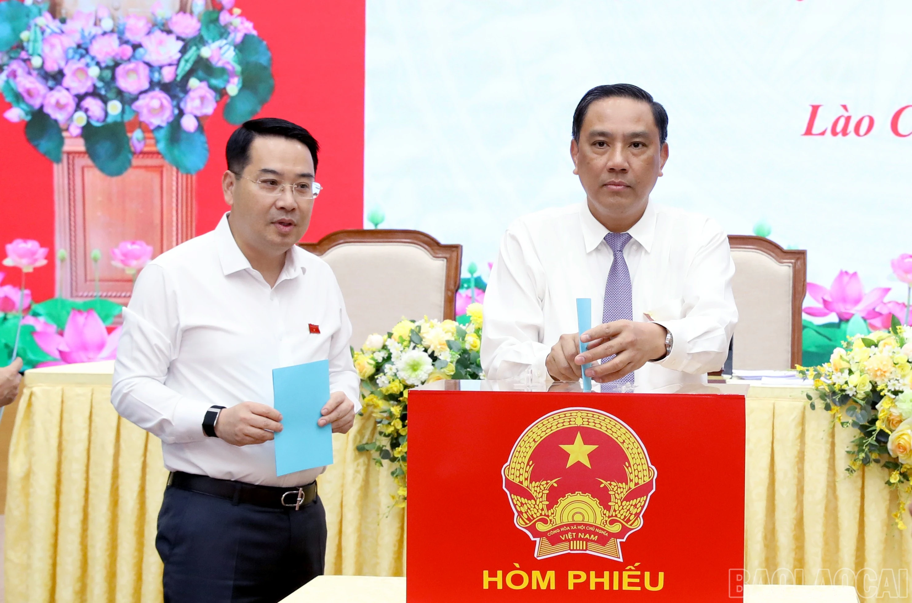 baolaocai-br_4y3a3621.jpg