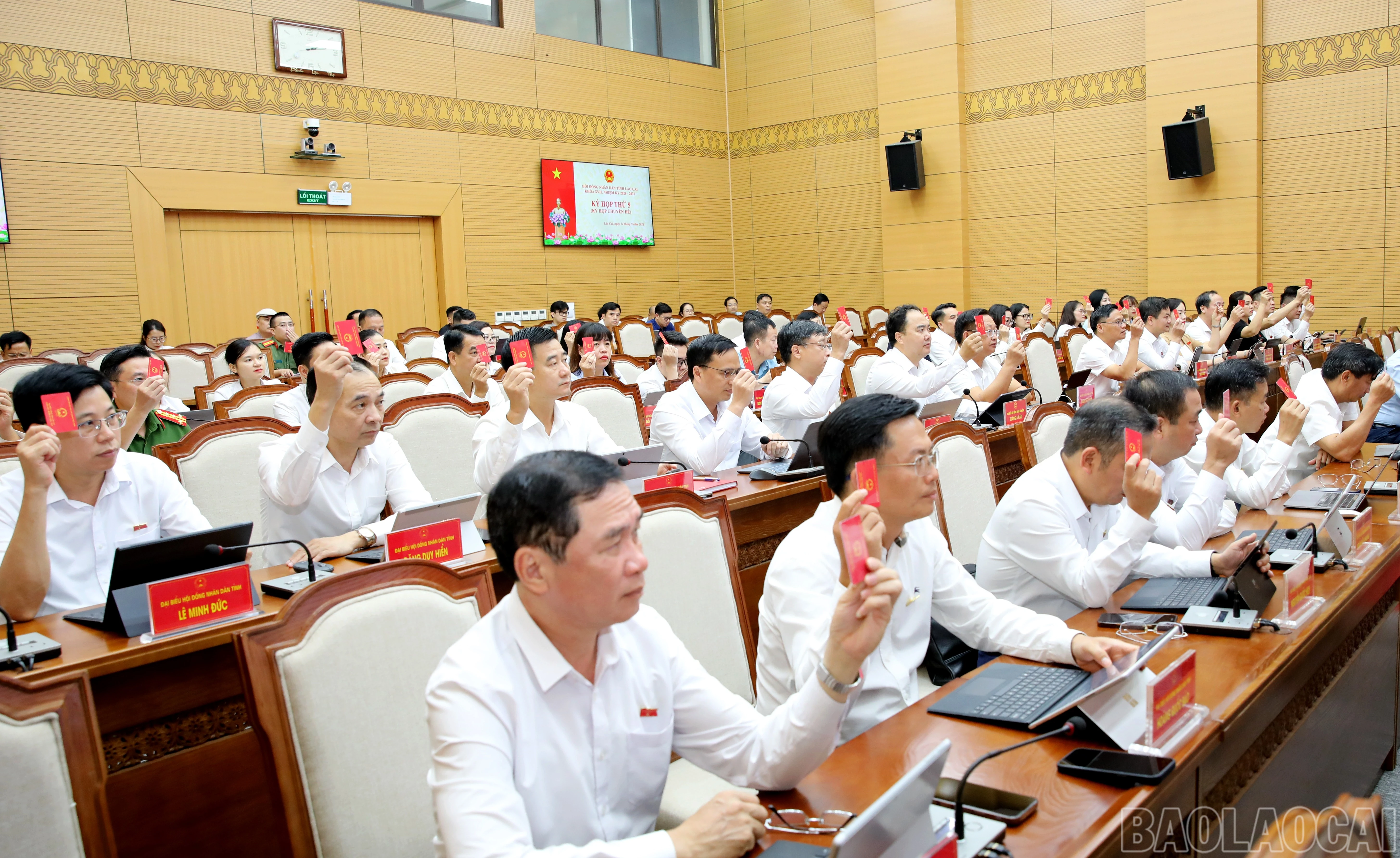 baolaocai-br_4y3a3616.jpg