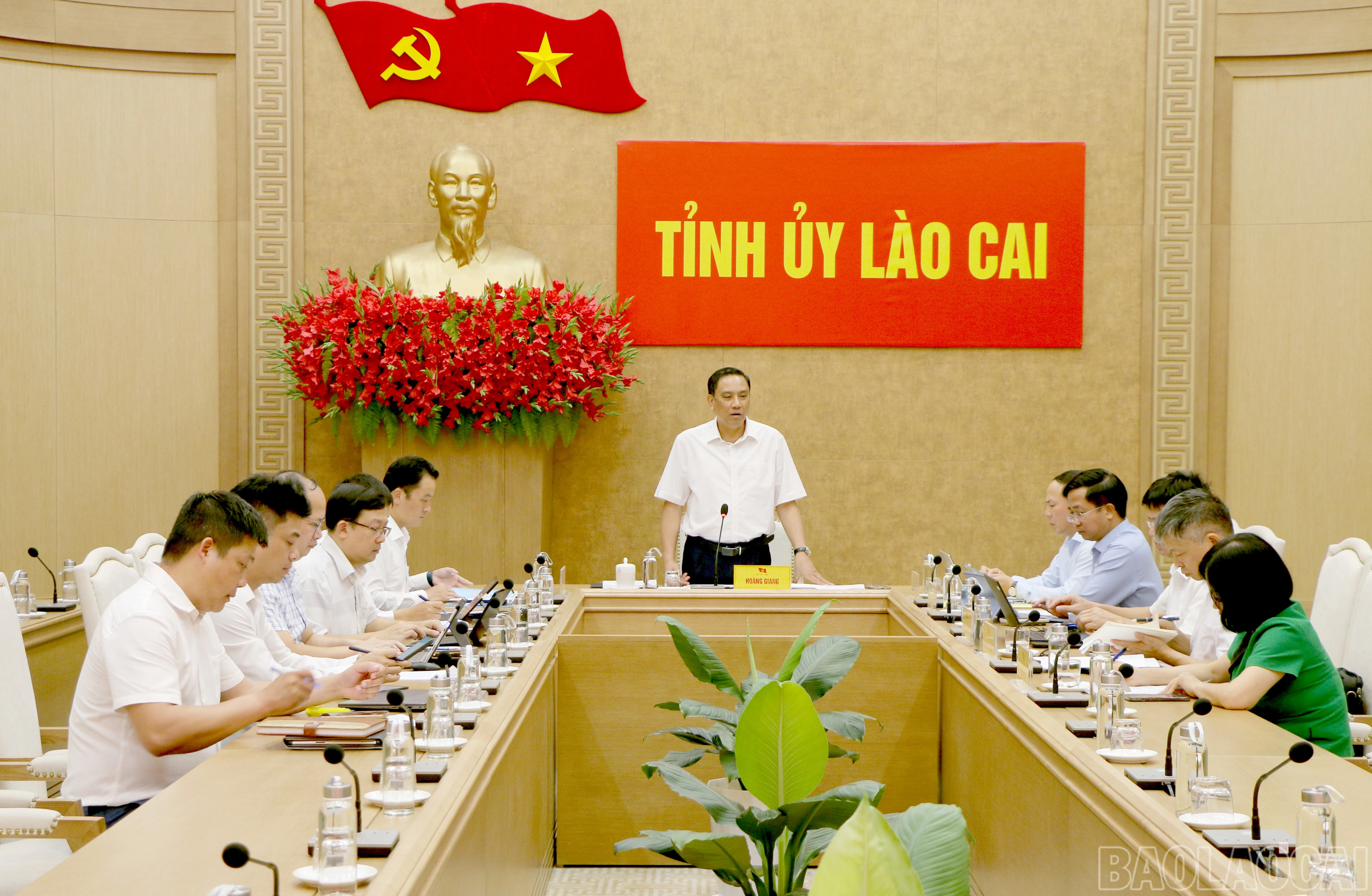 baolaocai-br_img-4742.jpg