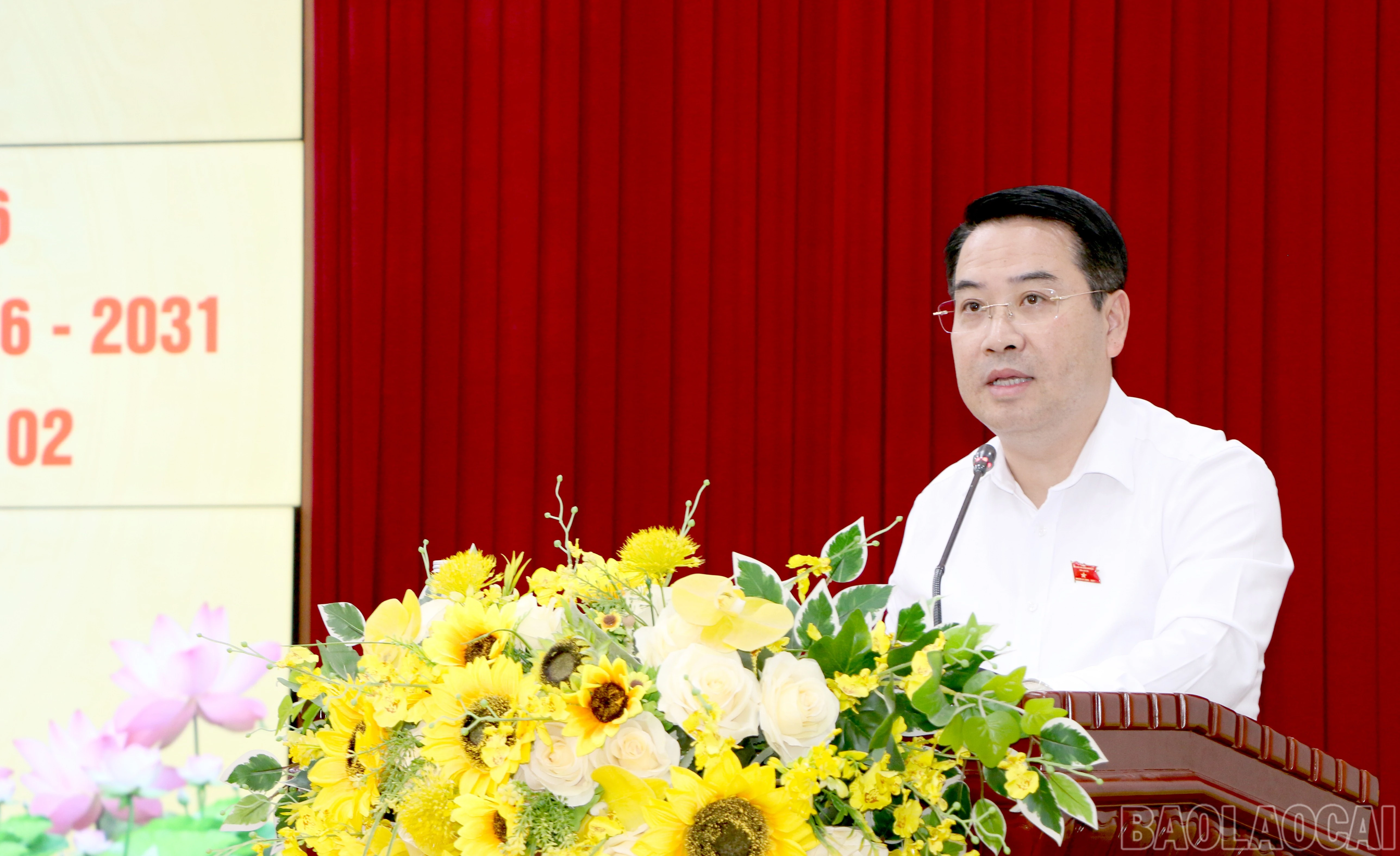 baolaocai-br_img-5015.jpg
