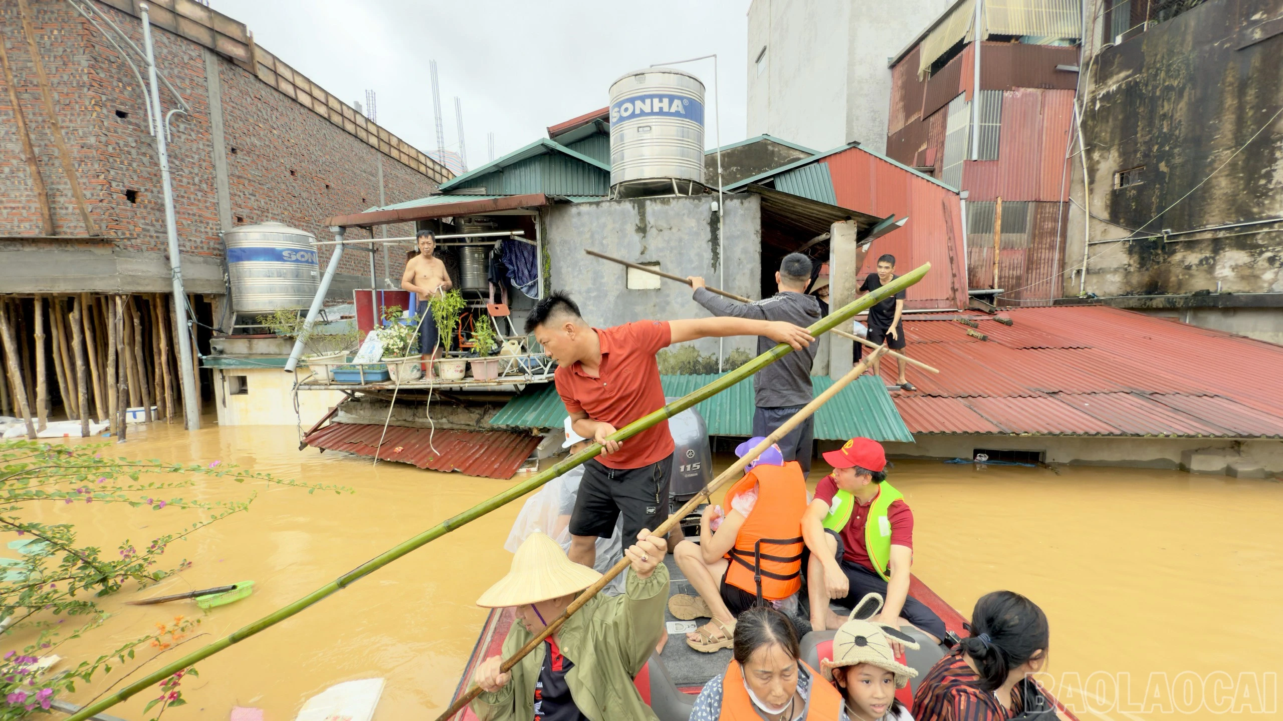 baolaocai-br_z7064919411928-c14776a6a0d9420e4255a643f4c8034f.jpg