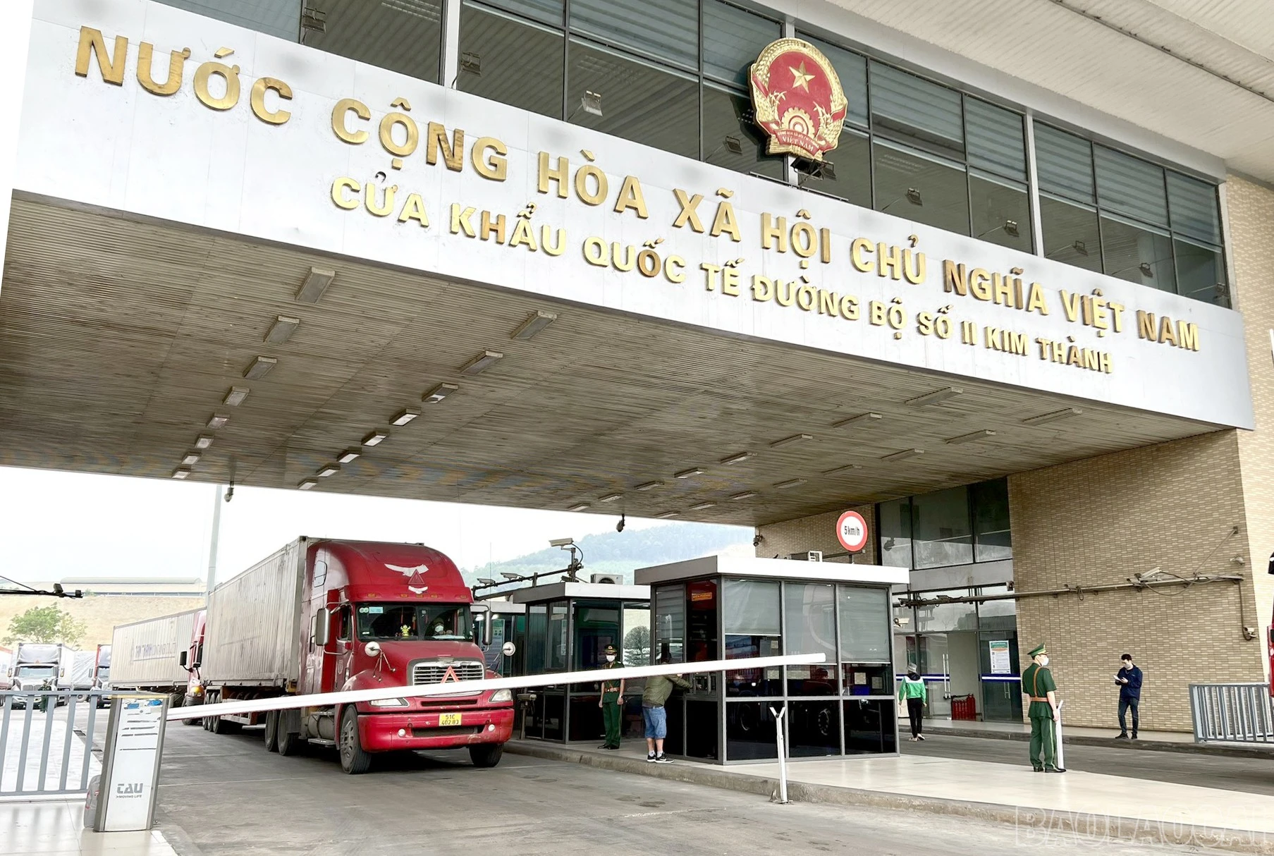 baolaocai-br_z4311403058034b21d6d98aa8653bf6b94e9f99b09105f-16830192558091638033509-1.jpg