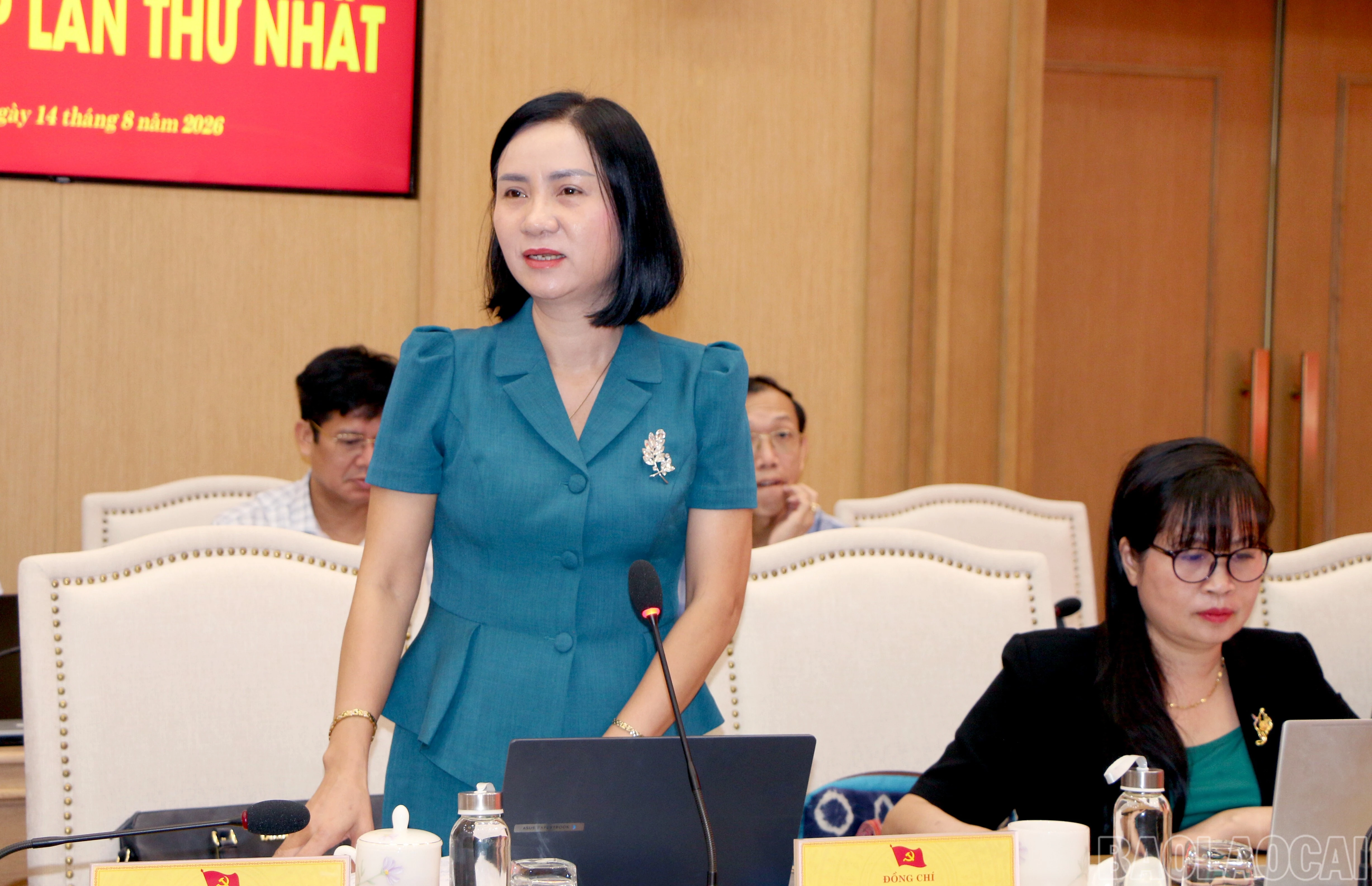 baolaocai-br_img-7366.jpg