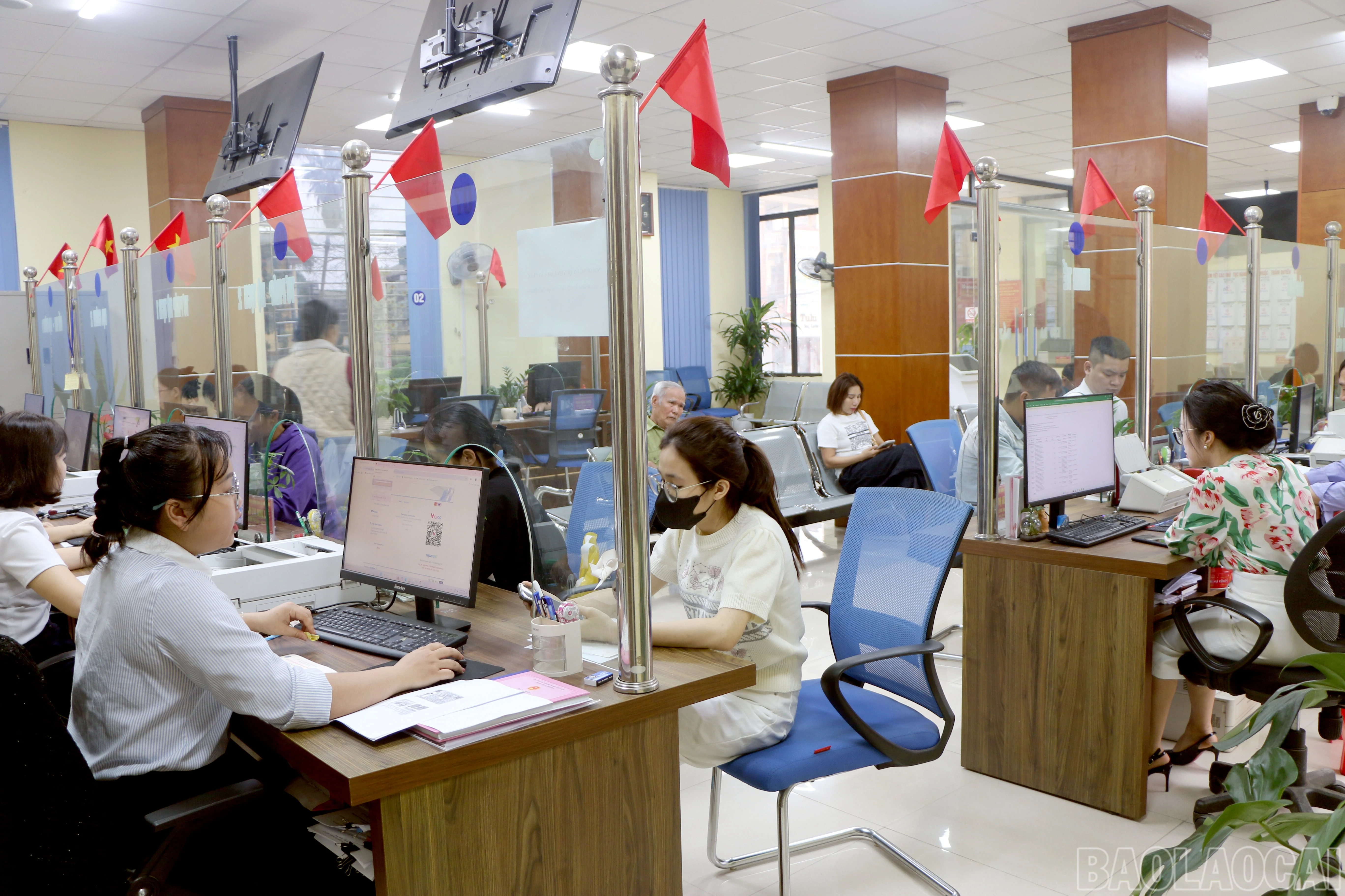 baolaocai-br_img-2327.jpg