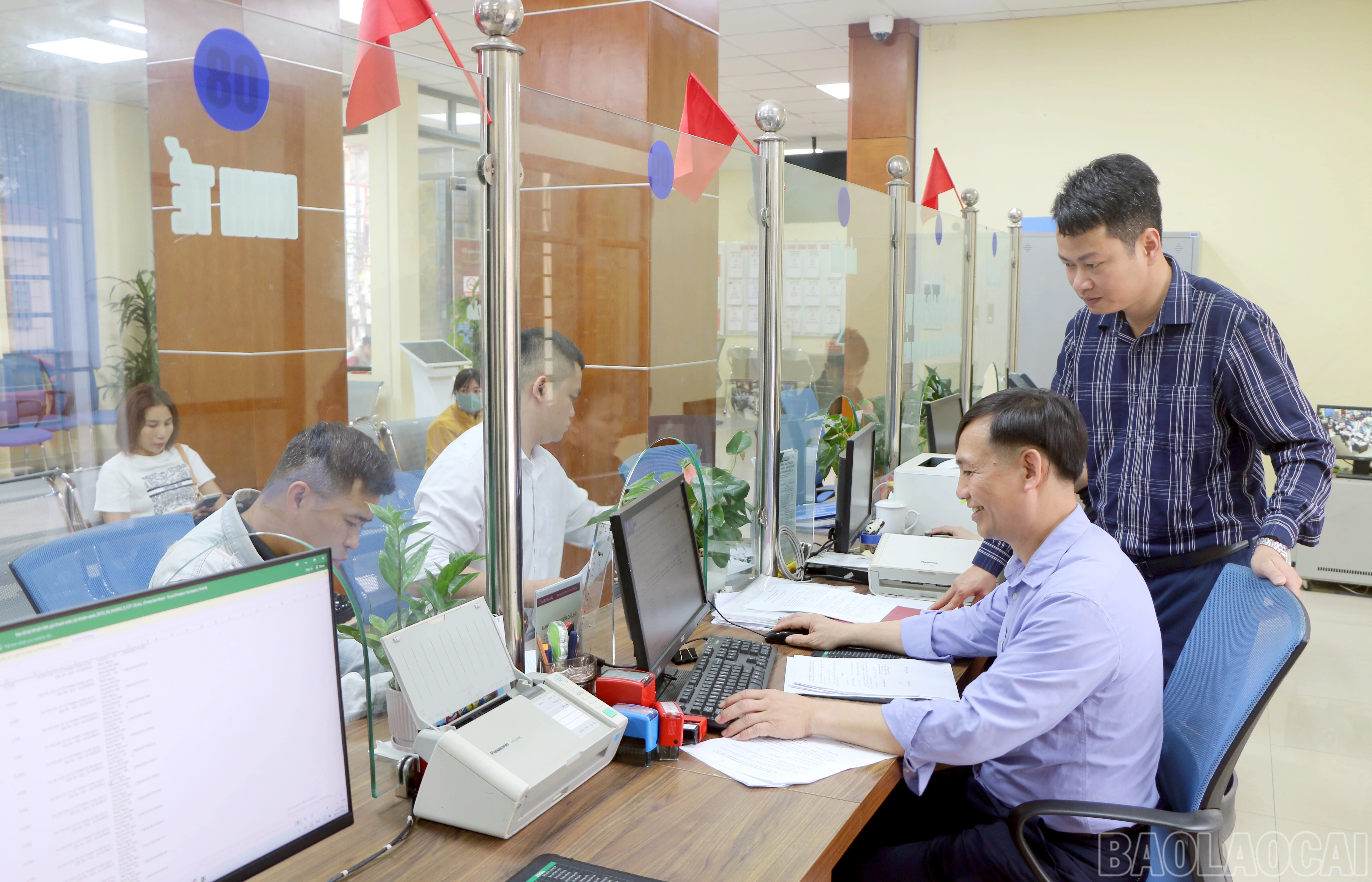 baolaocai-br_img-2324.jpg